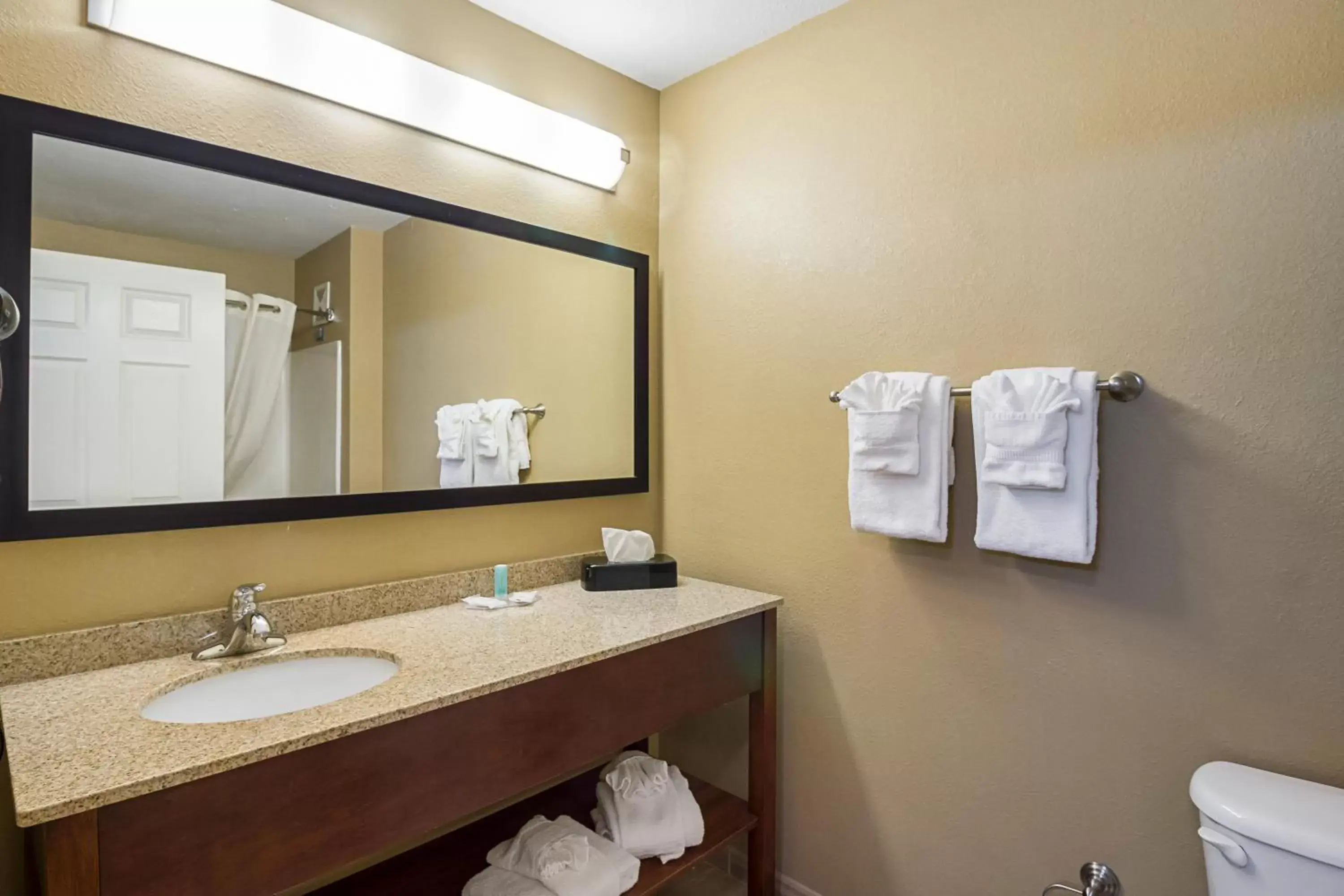 Bathroom in MainStay Suites Fargo - I-94 Medical Center