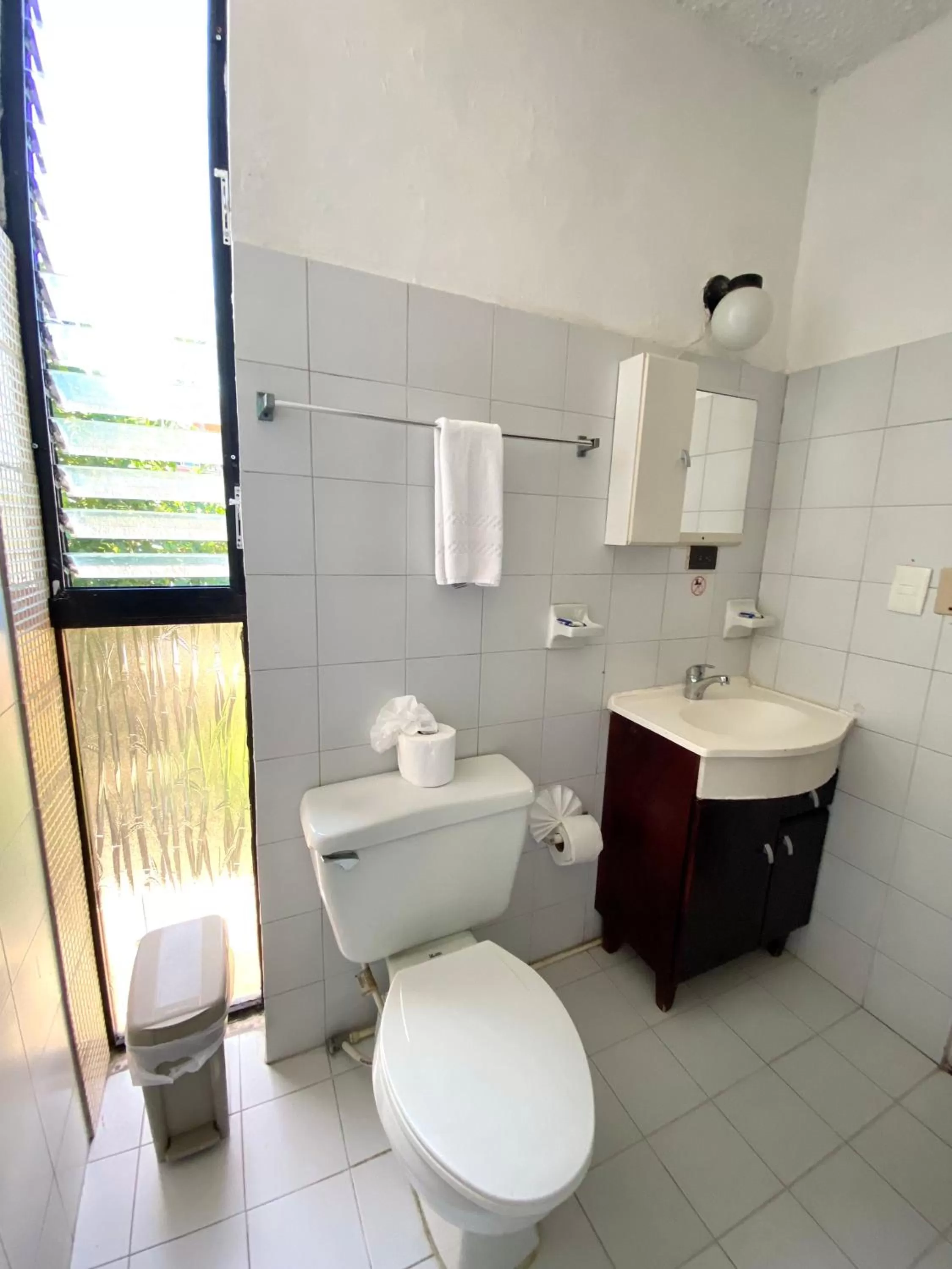 Toilet in Hotel Alegria