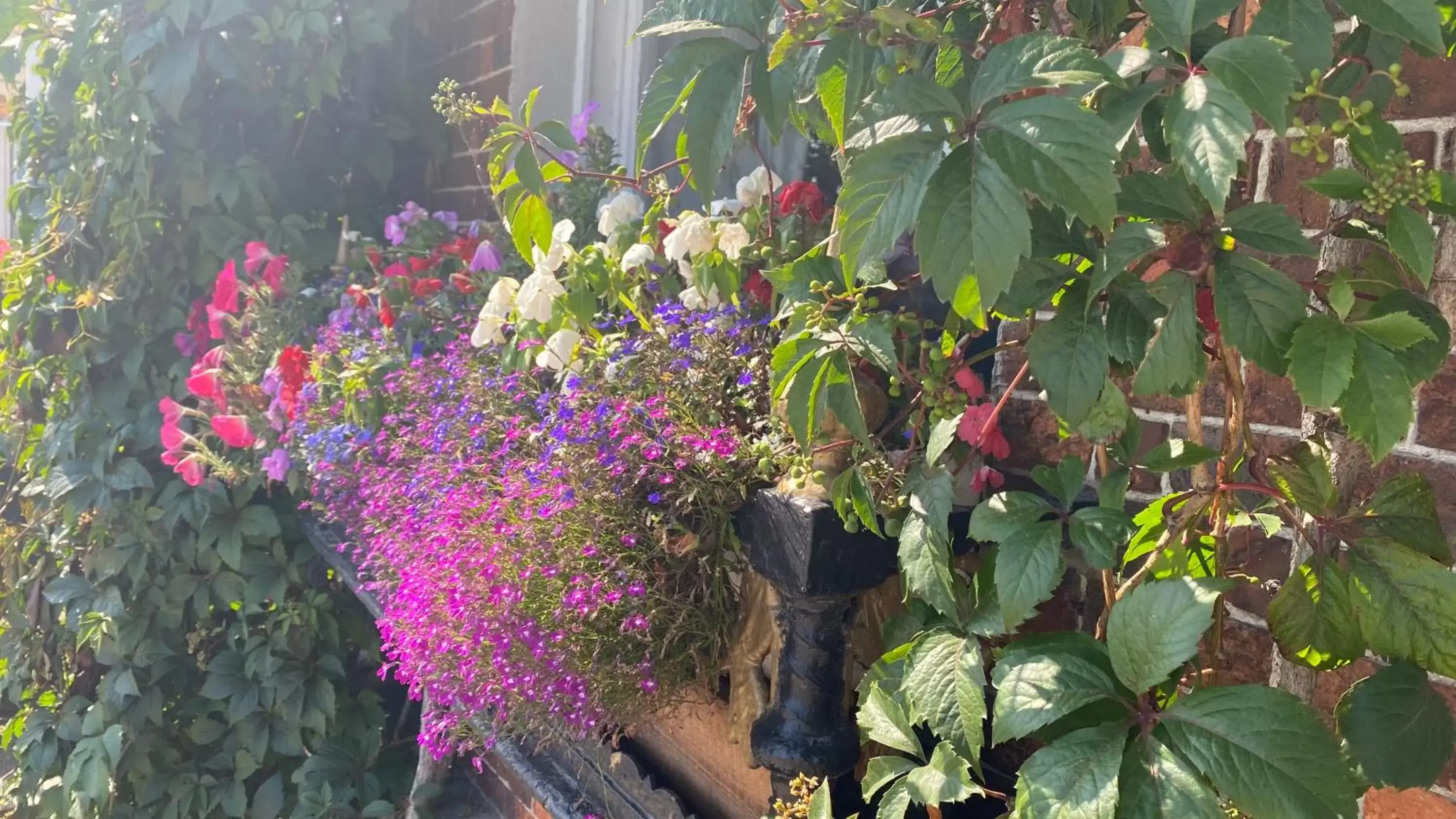 Property building, Garden in The Fairhaven Hotel