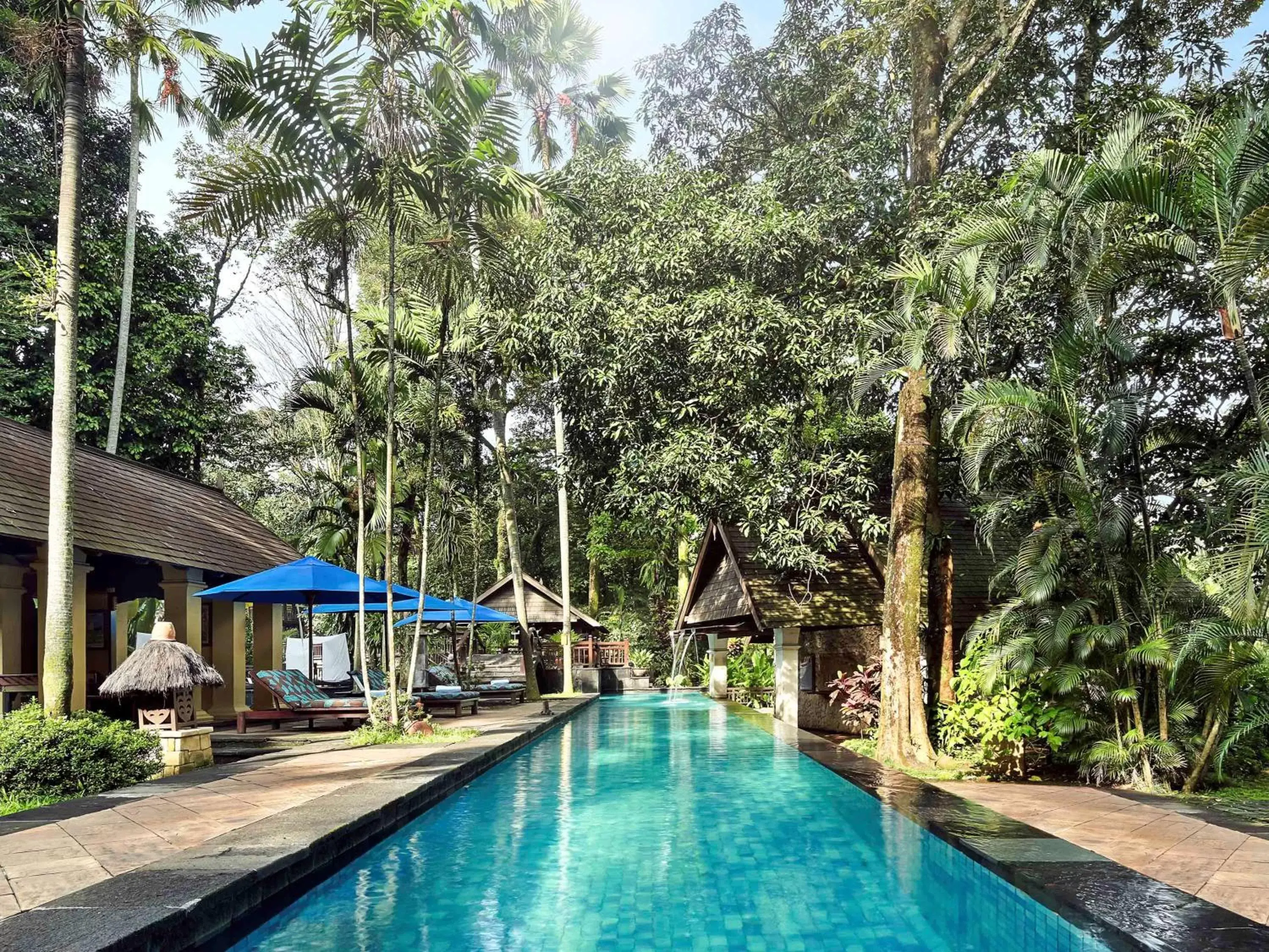 Pool view, Swimming Pool in Novotel Bogor Golf Resort