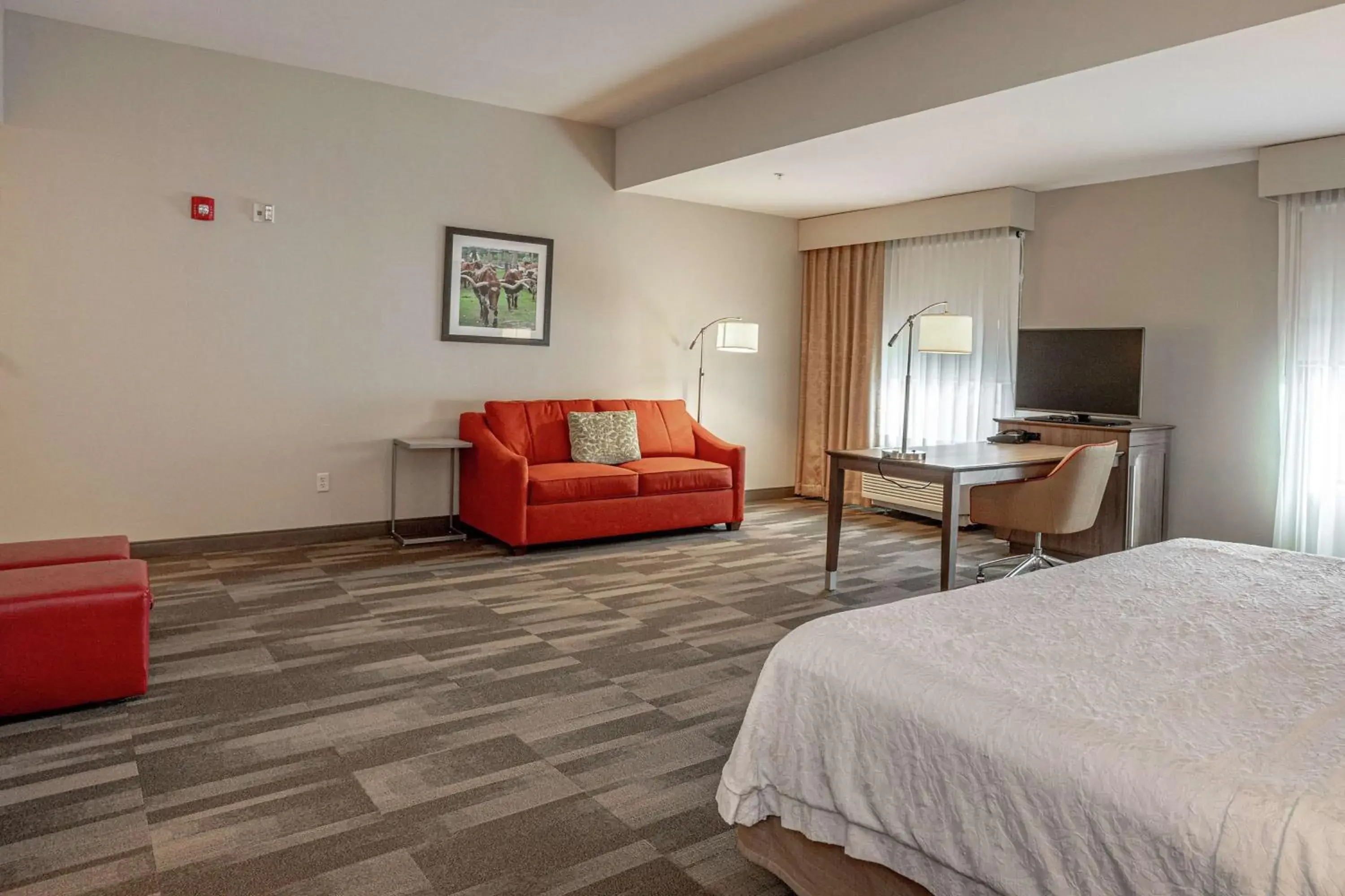 Bedroom, Seating Area in Hampton Inn and Suites Georgetown/Austin North, TX