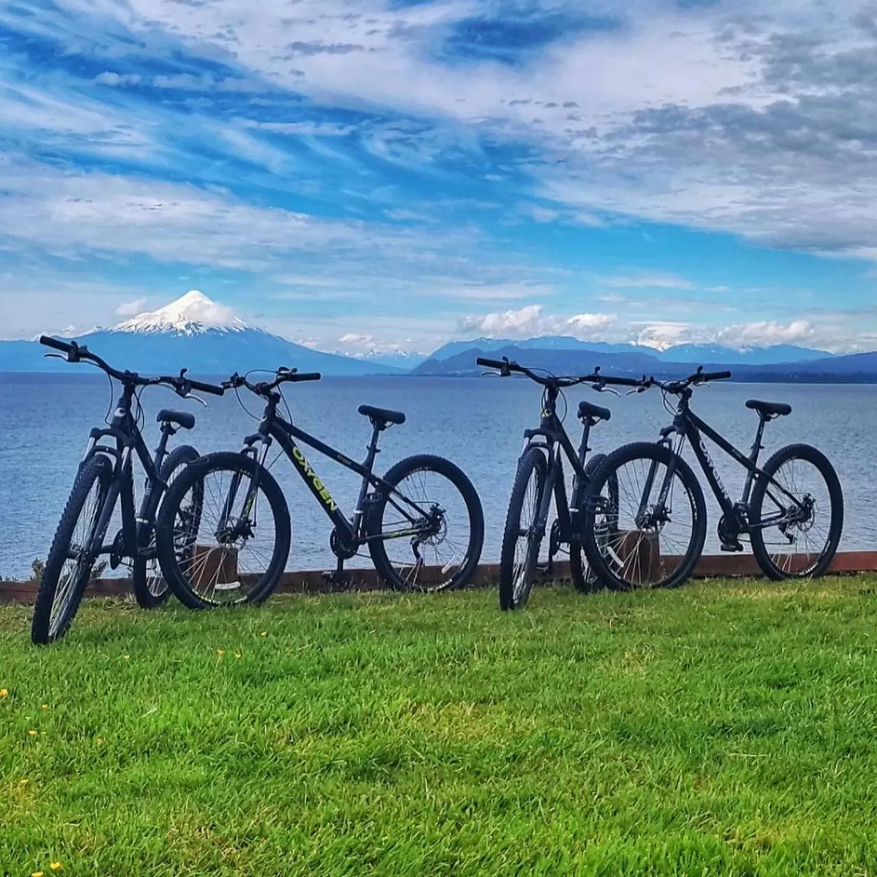 Garden in Casa Molino Hotel Boutique & Restaurant Puerto Varas