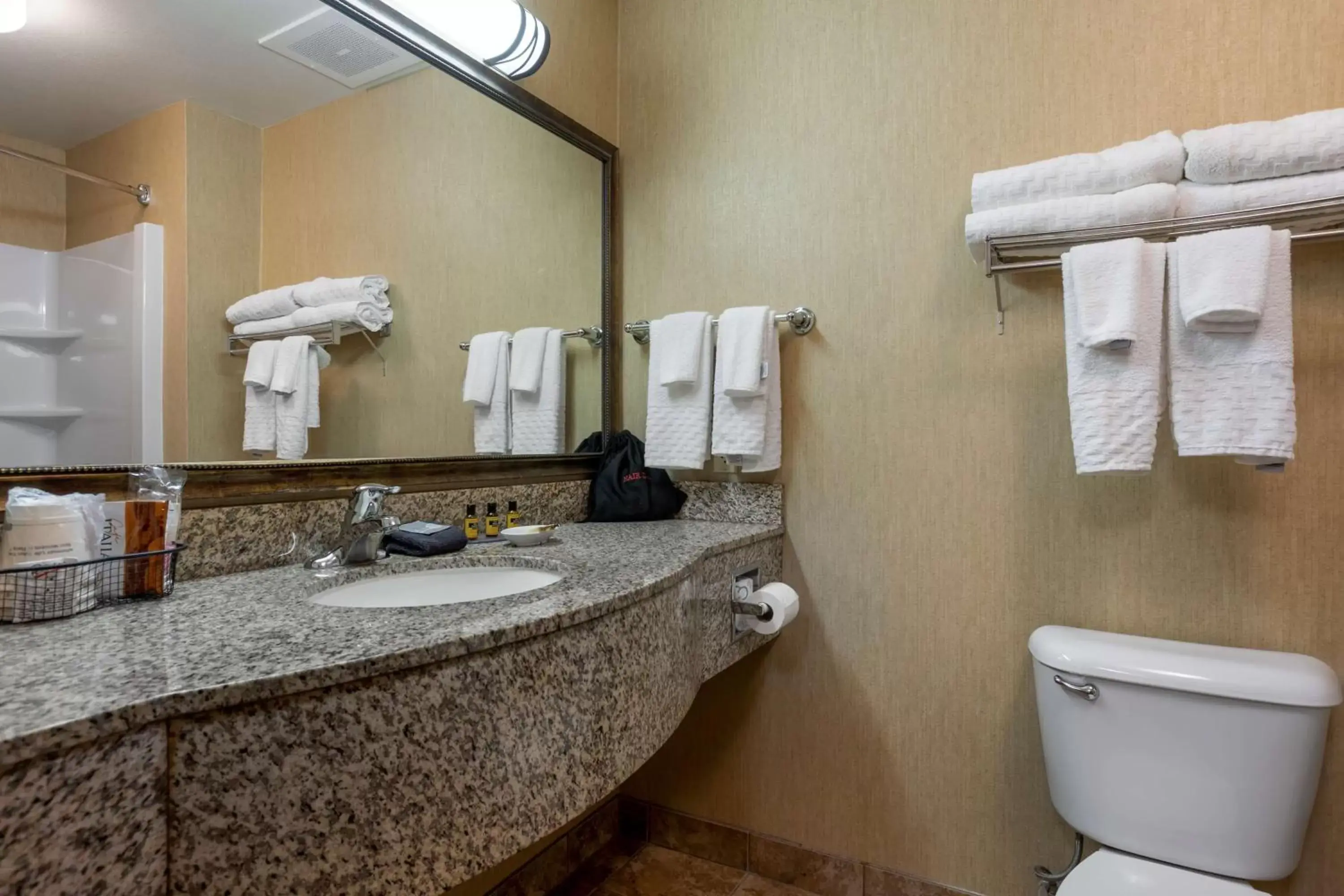 Bathroom in Best Western Plus Capital Inn