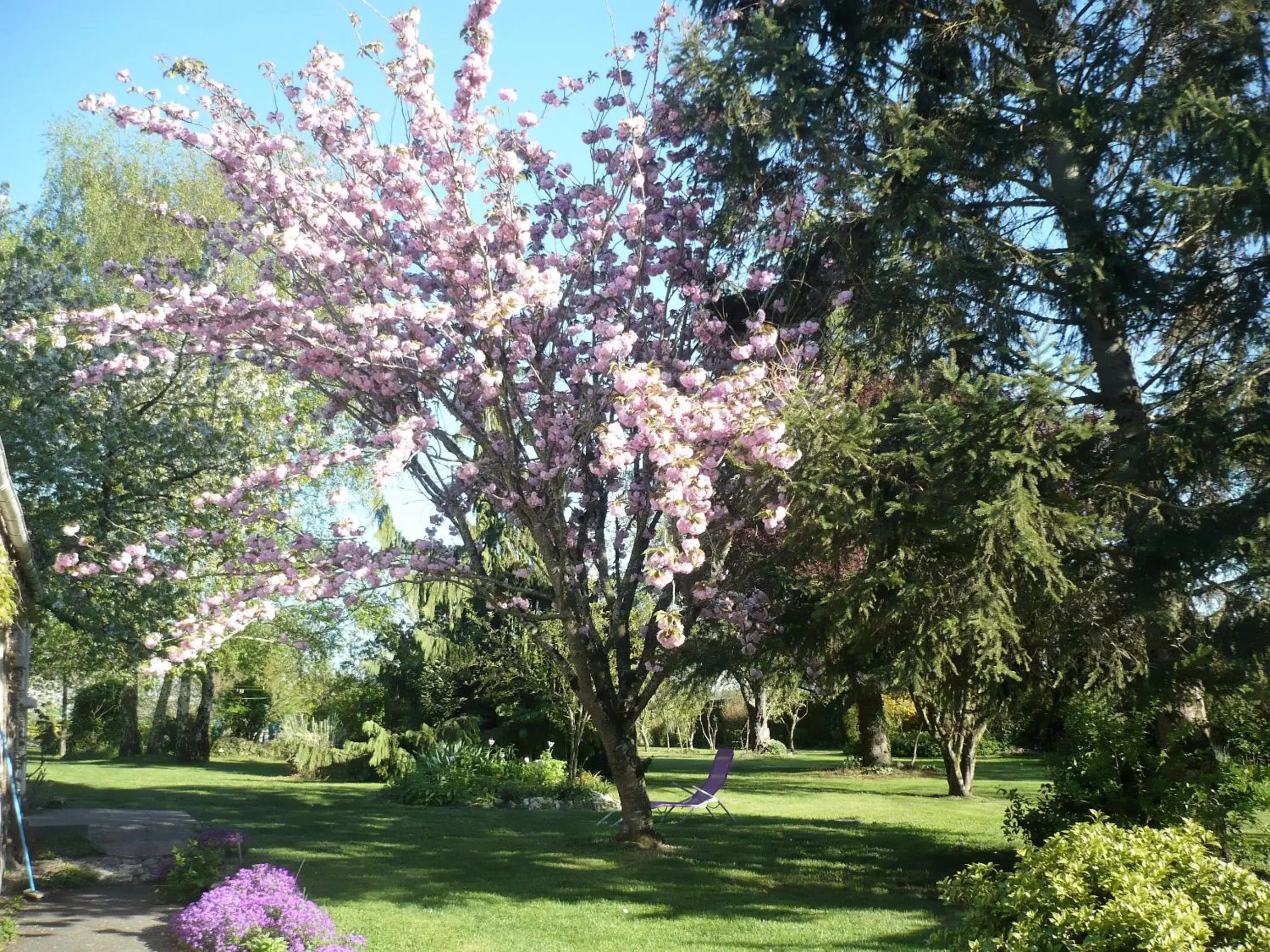 Garden in Chambres D'hôtes Anne-Marie