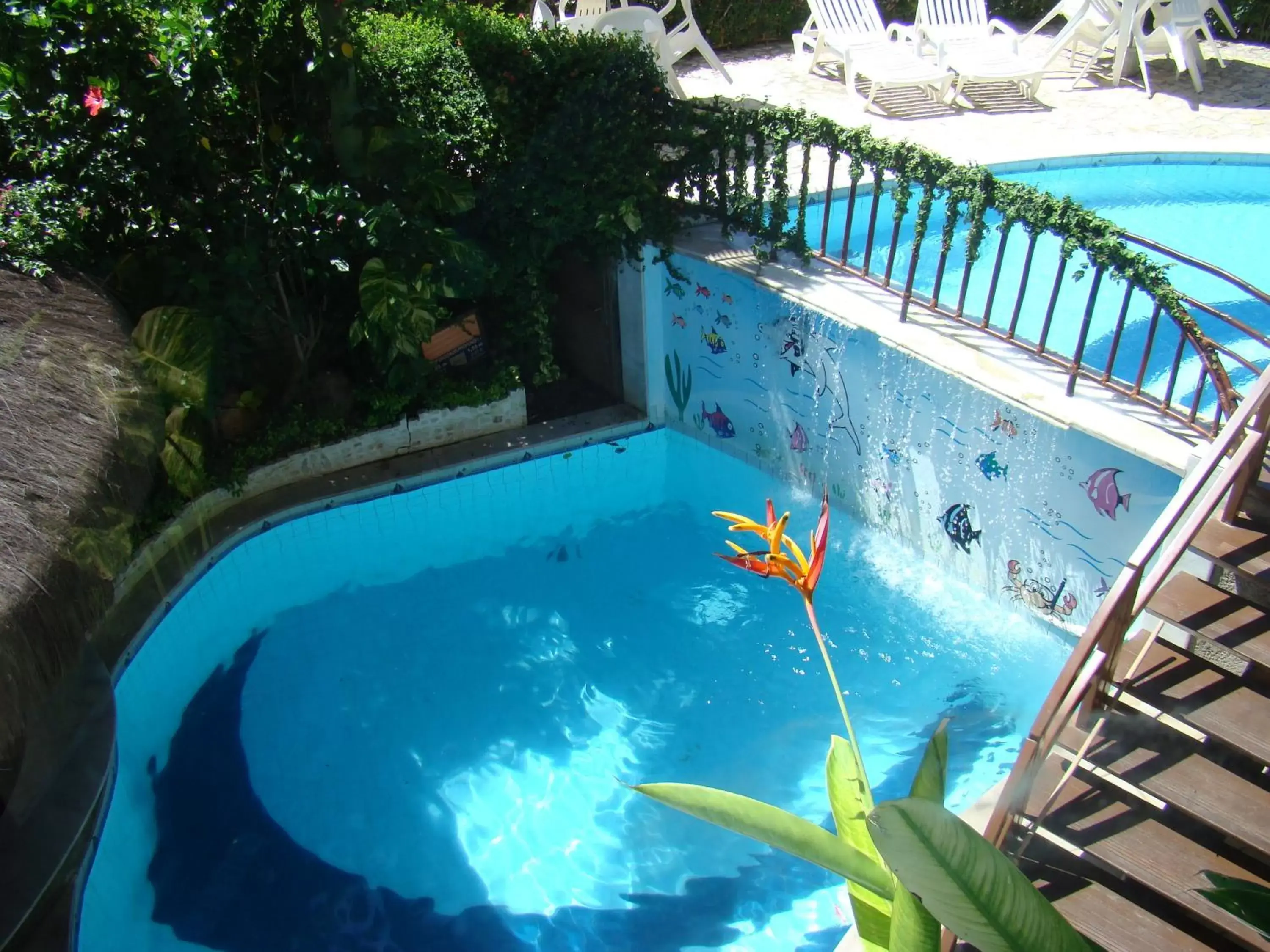 Swimming pool in Divi-Divi Praia Hotel Swimming pool in Divi-Divi Praia Hotel