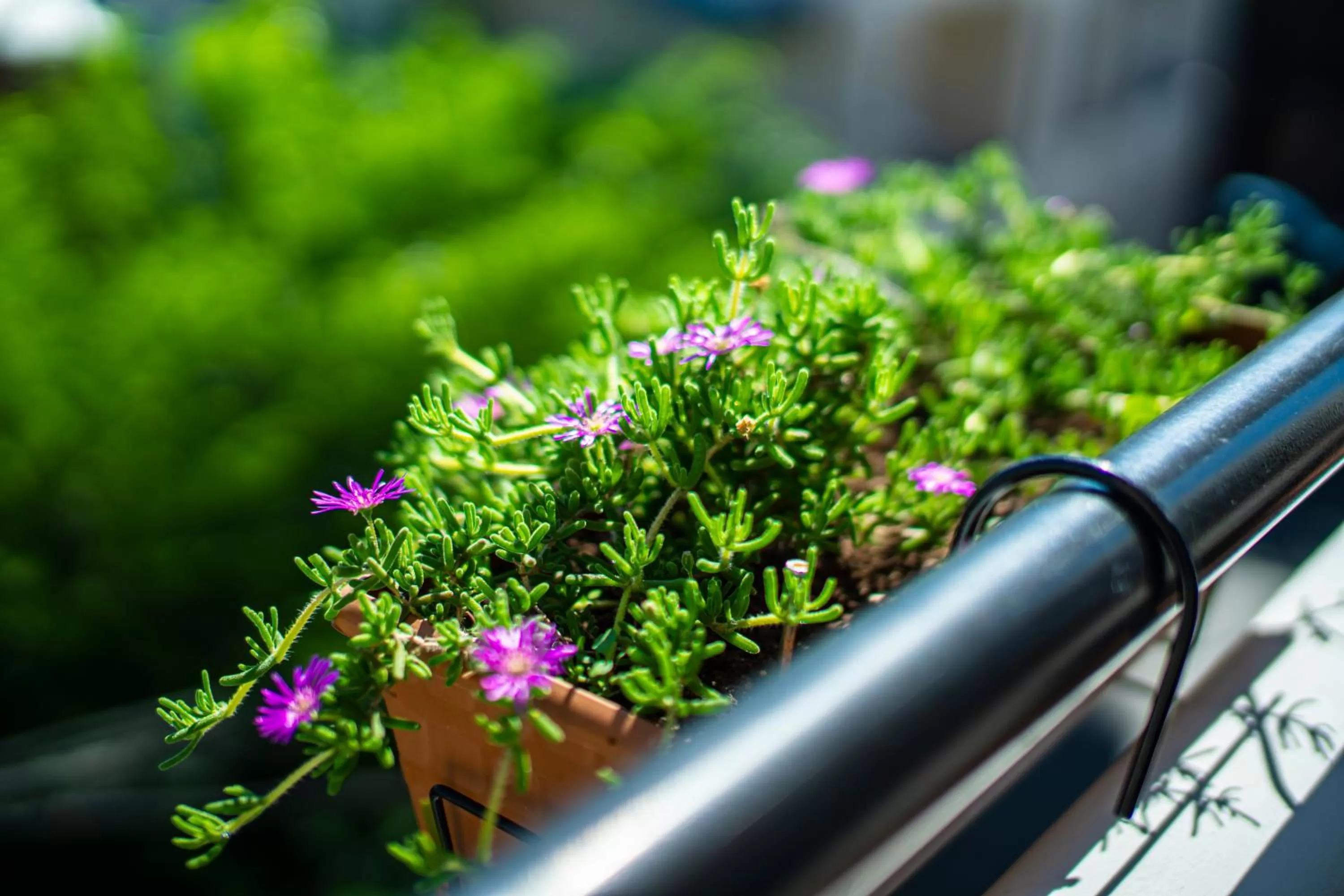 Balcony/Terrace in Midtown-Vera