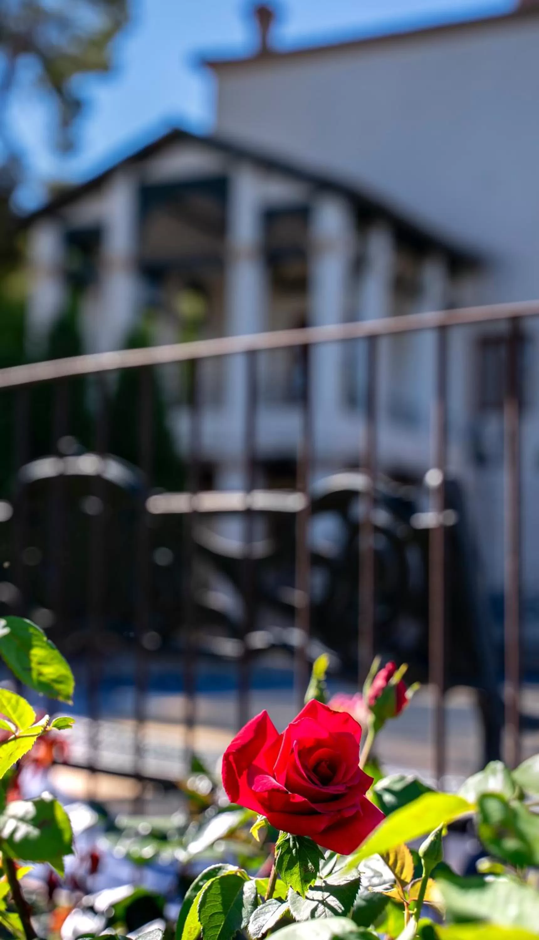 Eco Hotel con encanto Masía la Mota B&B