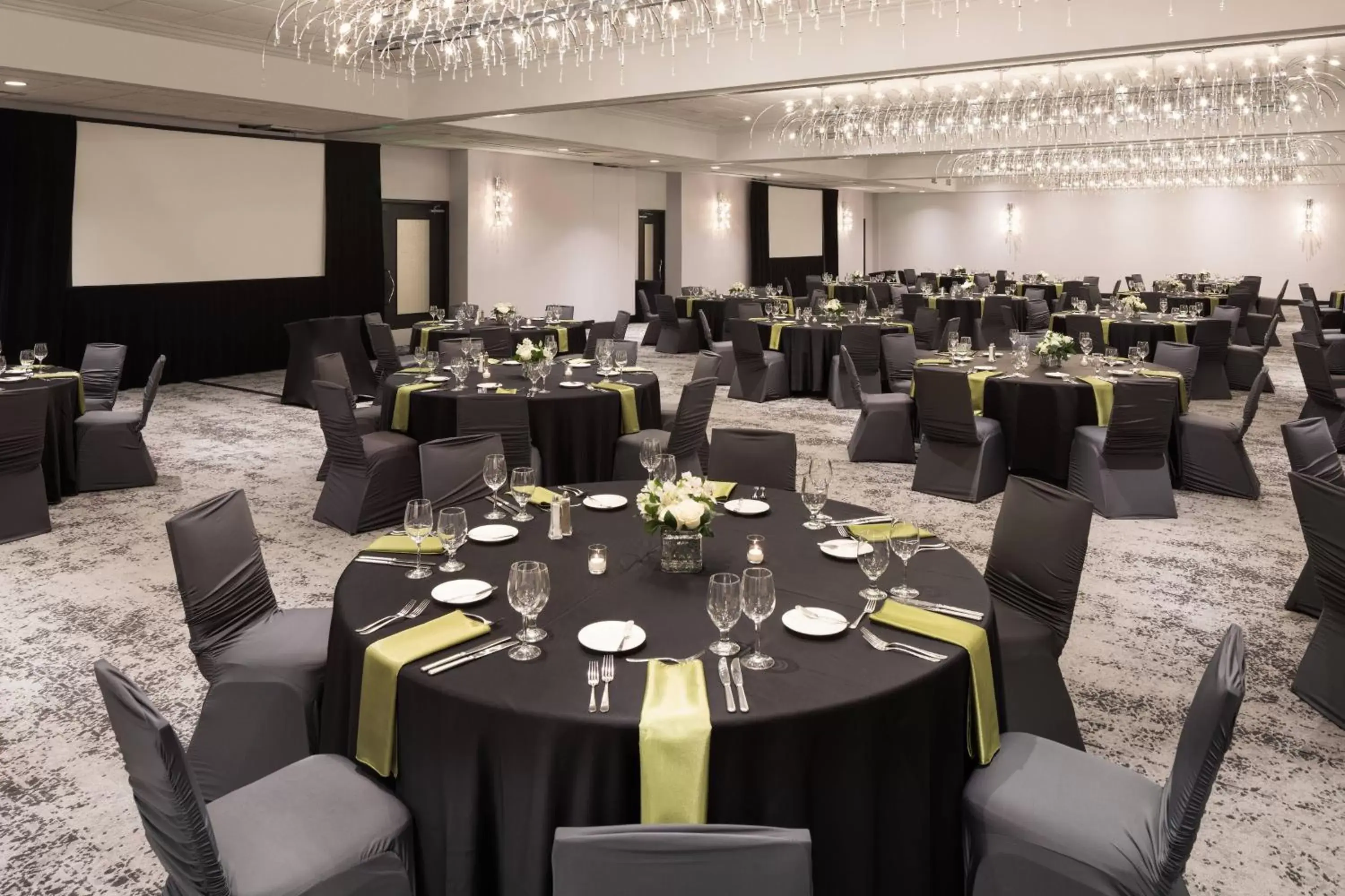 Meeting/conference room, Banquet Facilities in Sheraton Bloomington