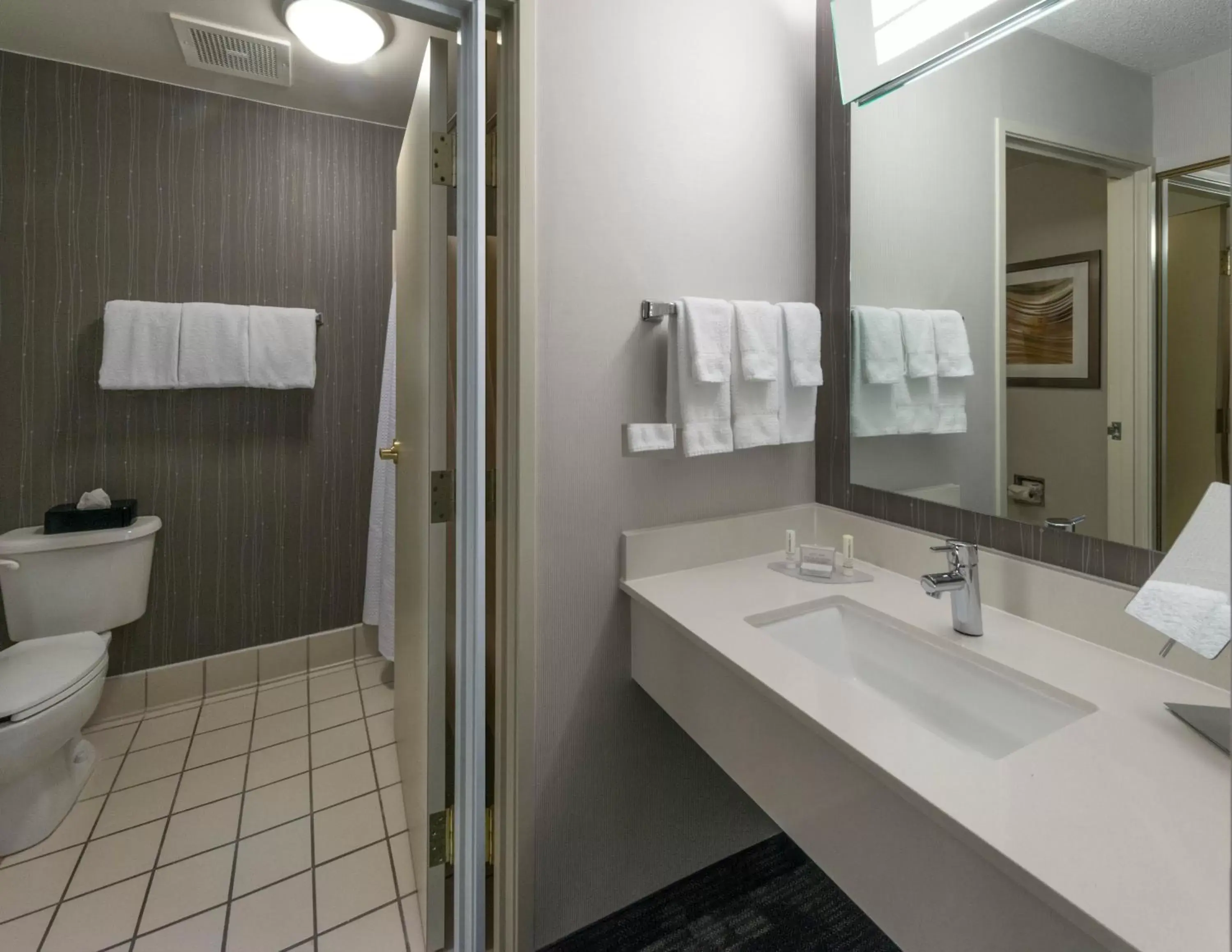 Bathroom in Courtyard by Marriott Lakeland