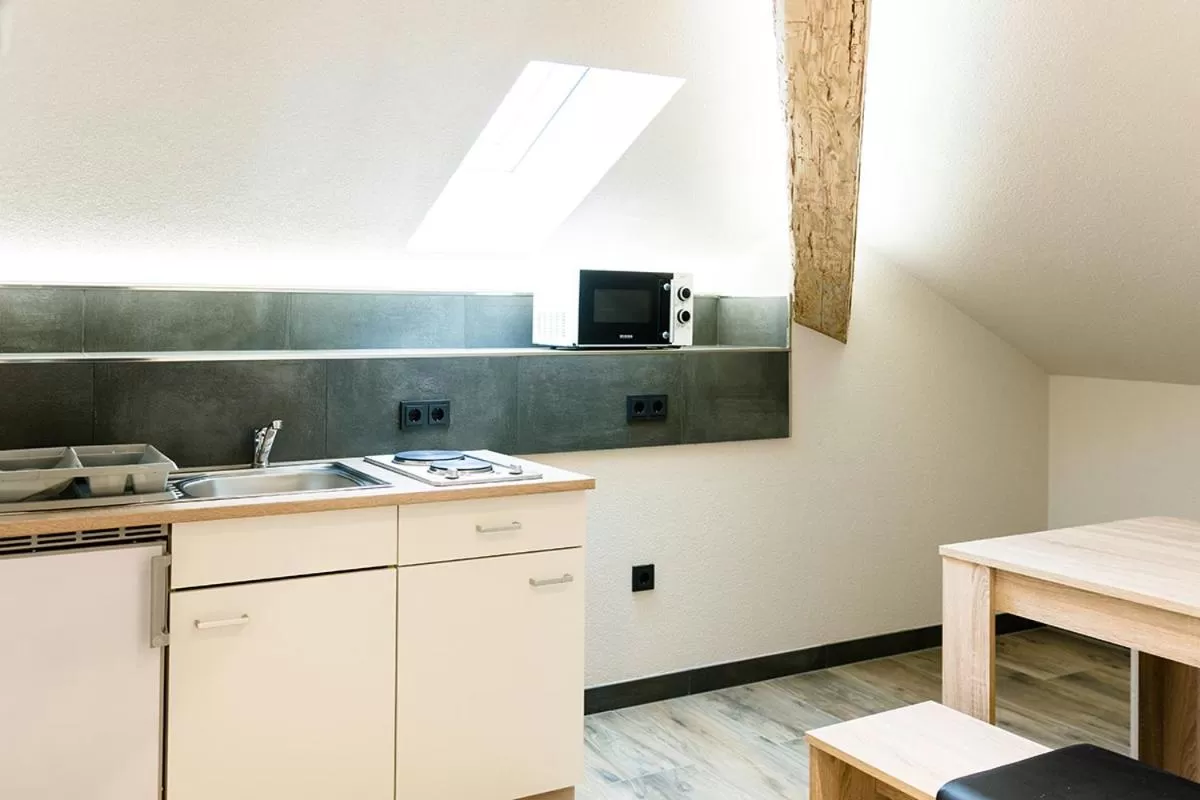 Kitchen or kitchenette in Bahnhof-Erzingen, hotel, coffee & more