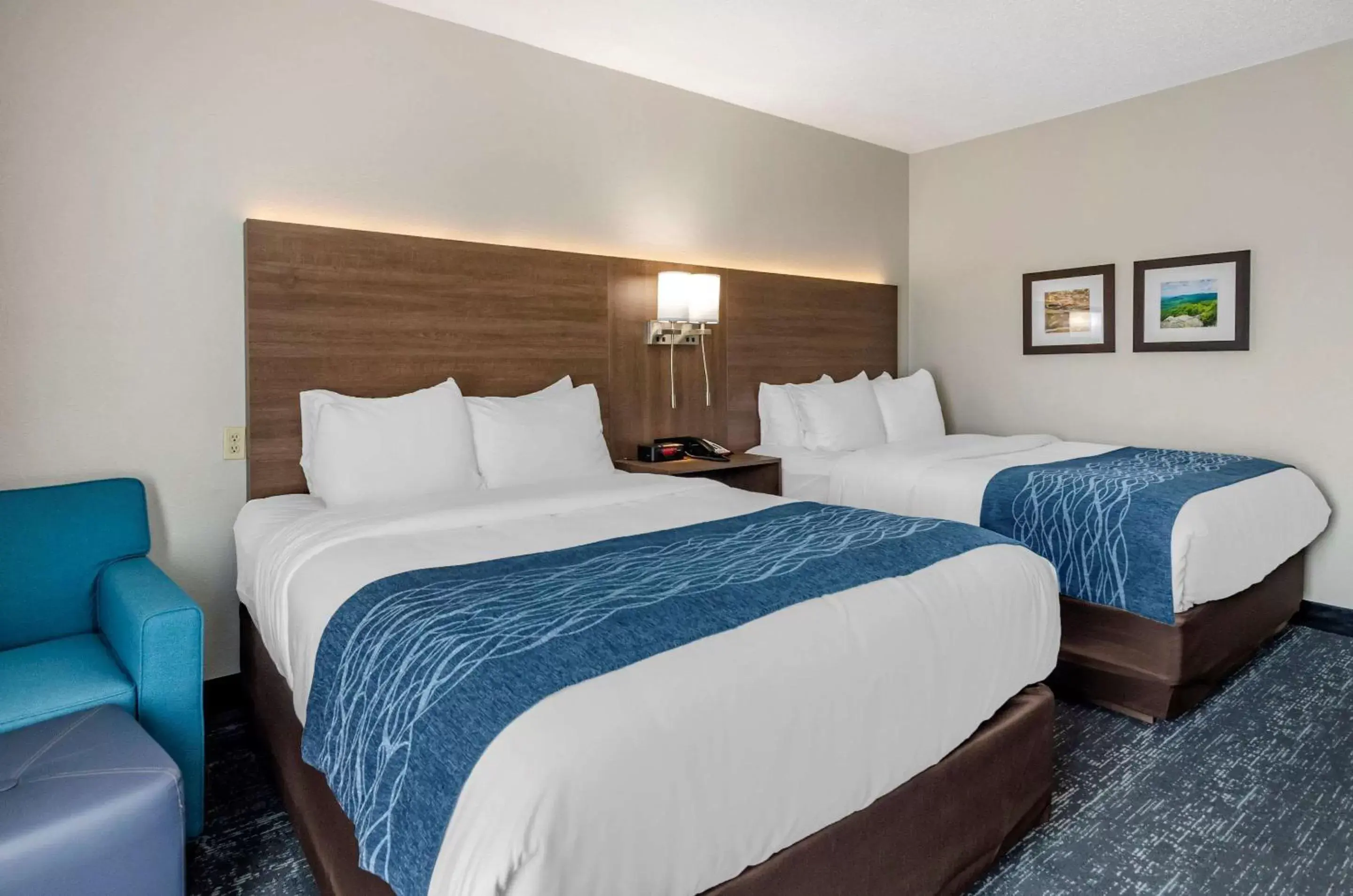 Photo of the whole room, Bed in Comfort Inn & Suites Troutville - Roanoke North / Daleville