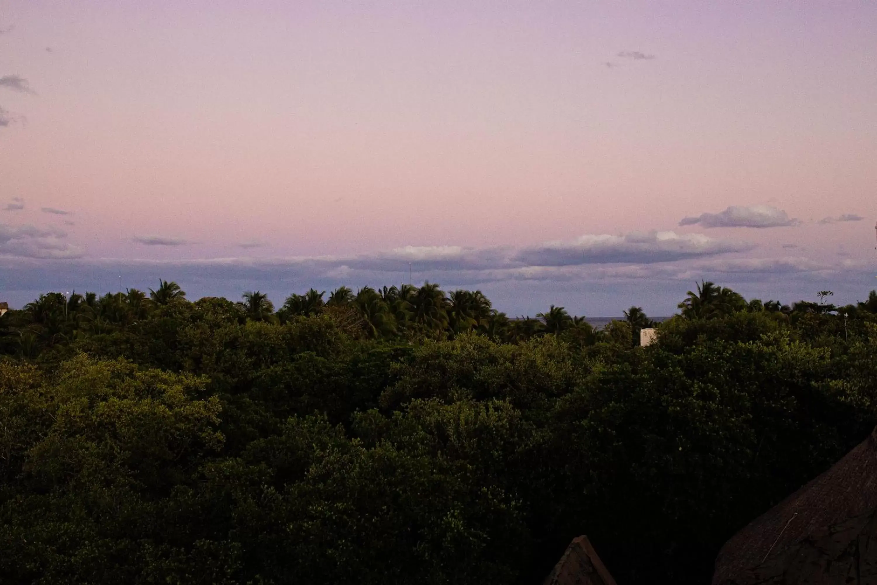 Sunrise in Mamasan Treehouses & Cabins