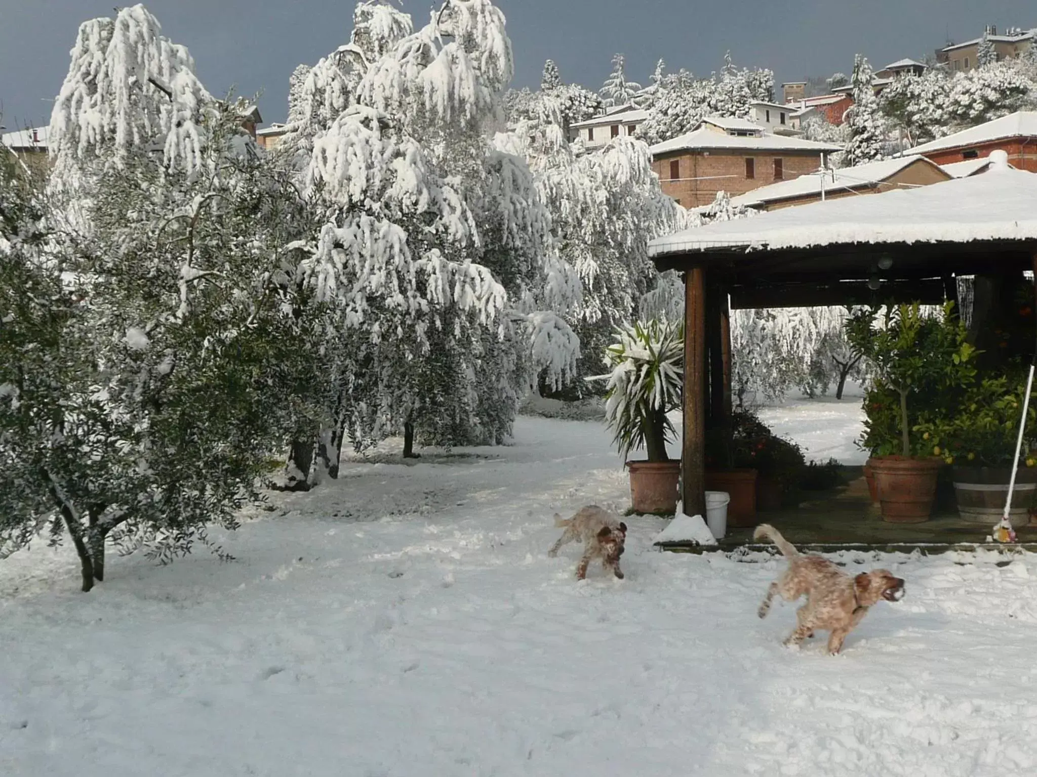 Facade/entrance, Winter in B&B Le Caselle "Il Baraccotto"