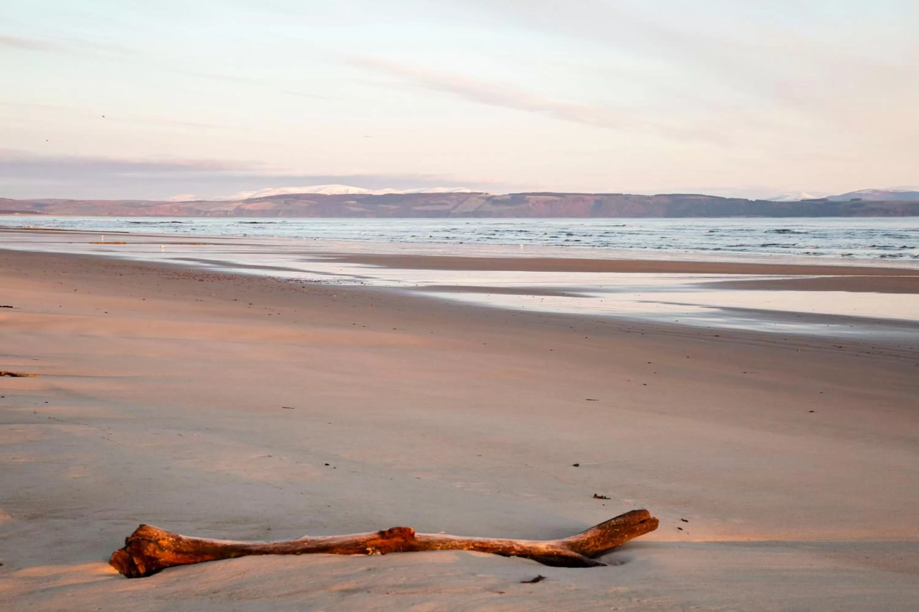 Beach in West End Hotel