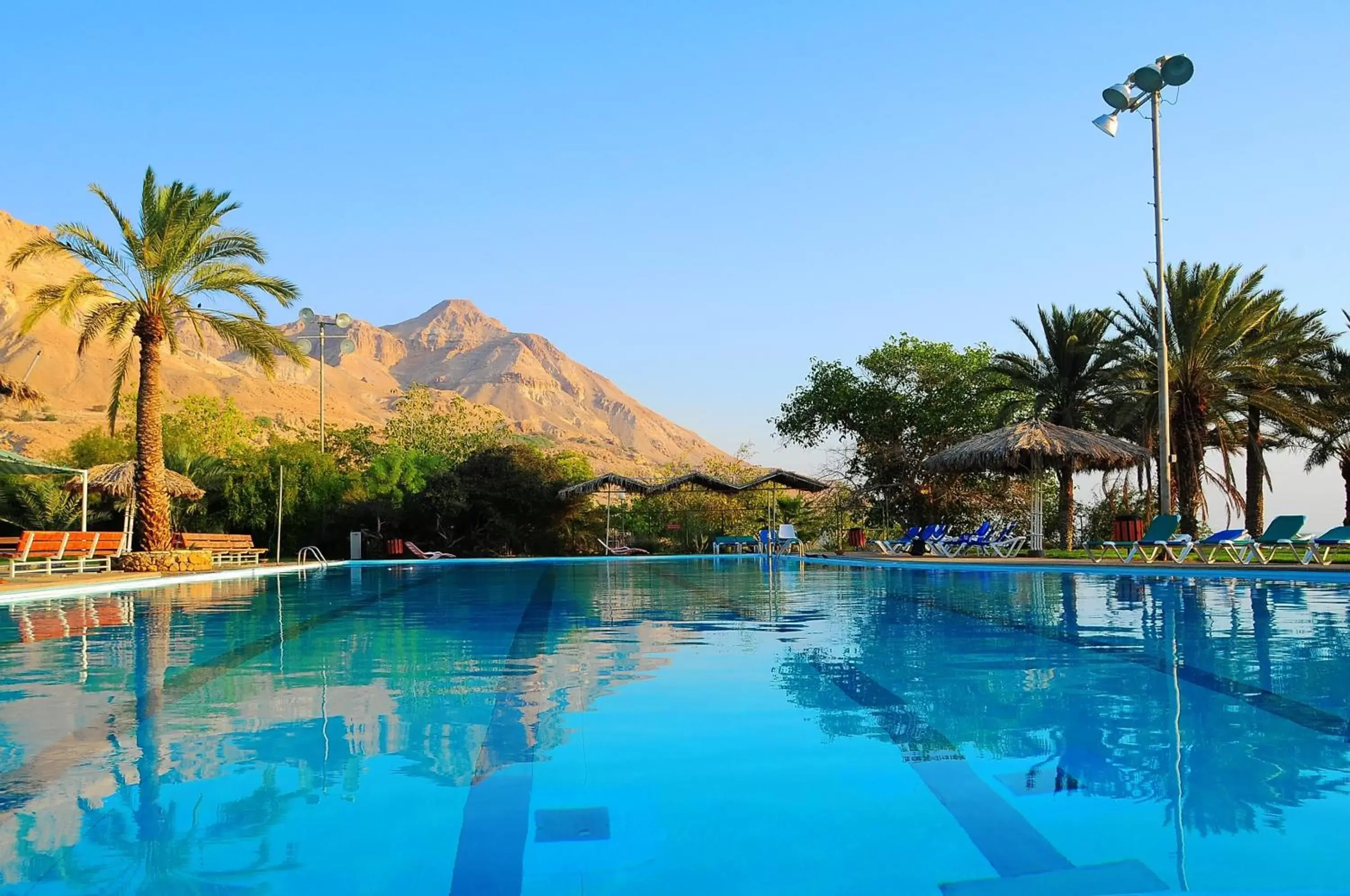 Summer, Swimming Pool in Ein Gedi Kibbutz Hotel