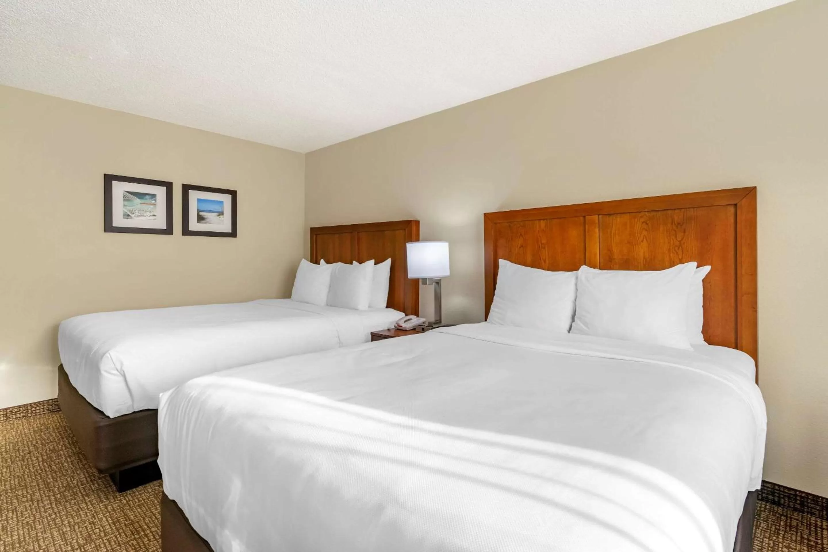 Photo of the whole room, Bed in Comfort Inn & Suites St Pete - Clearwater International Airport