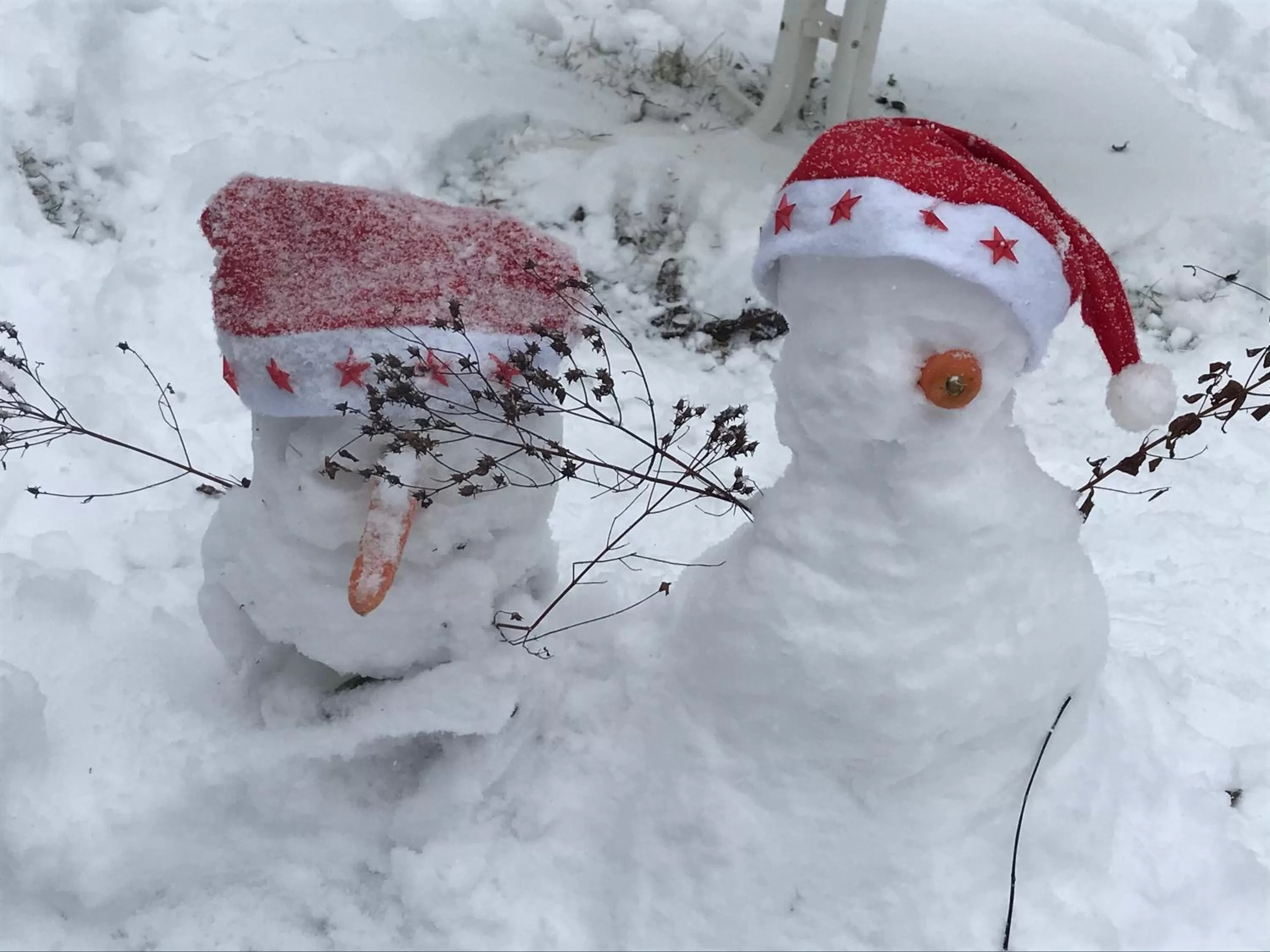 Winter in Bed and Breakfast Bavaria München