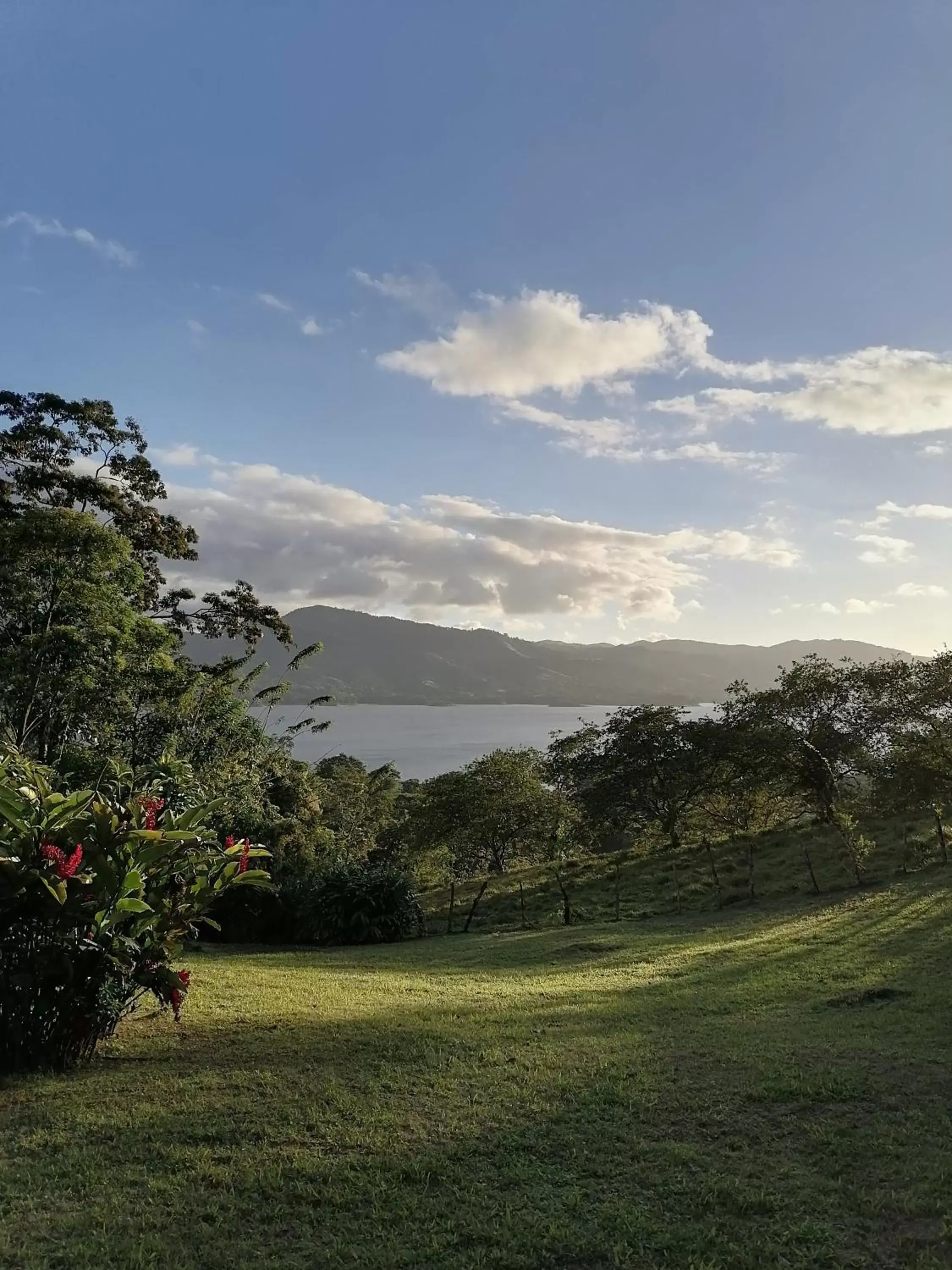 Natural landscape in La Ceiba Tree Lodge