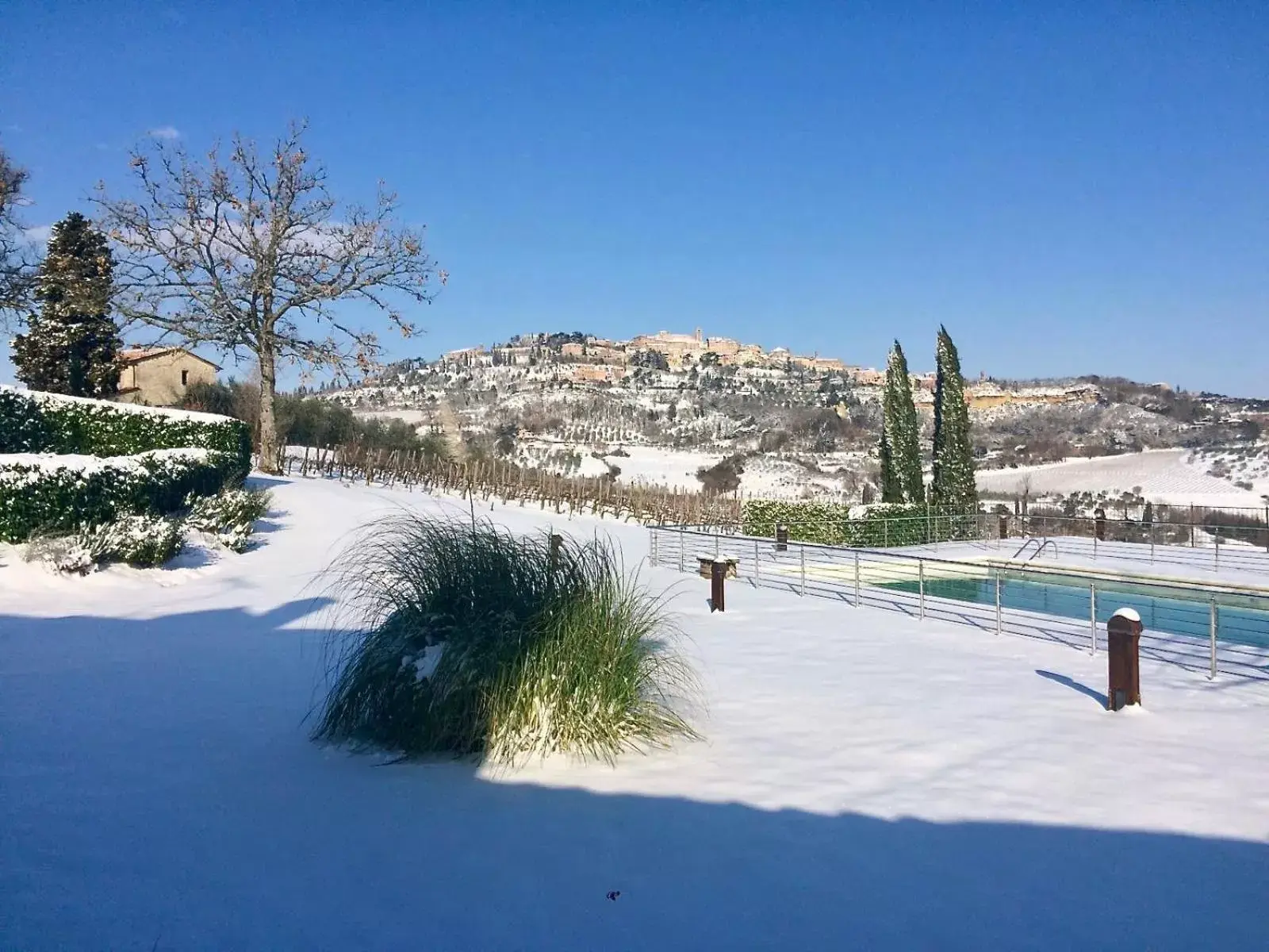 Winter in The Grapevine by MANVI