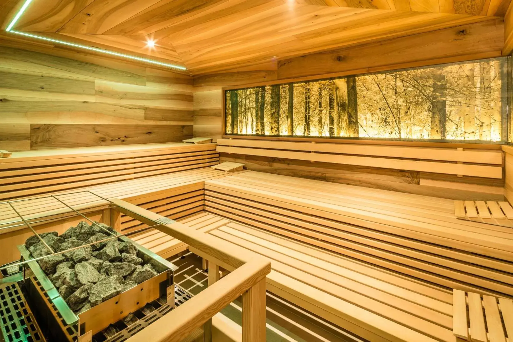 Sauna in Hotel Am Sonneck