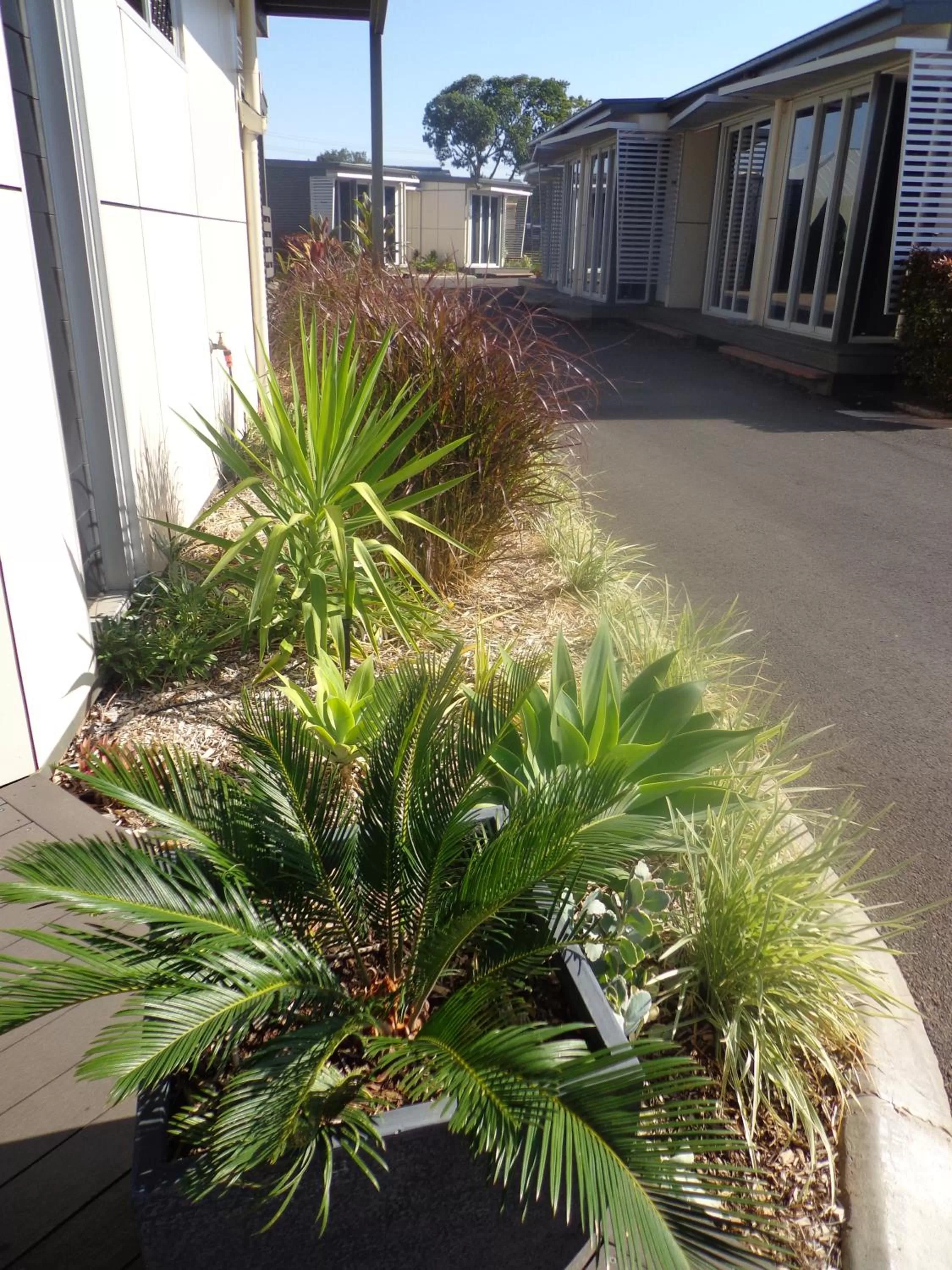 Garden in Smart Stayzzz Inns