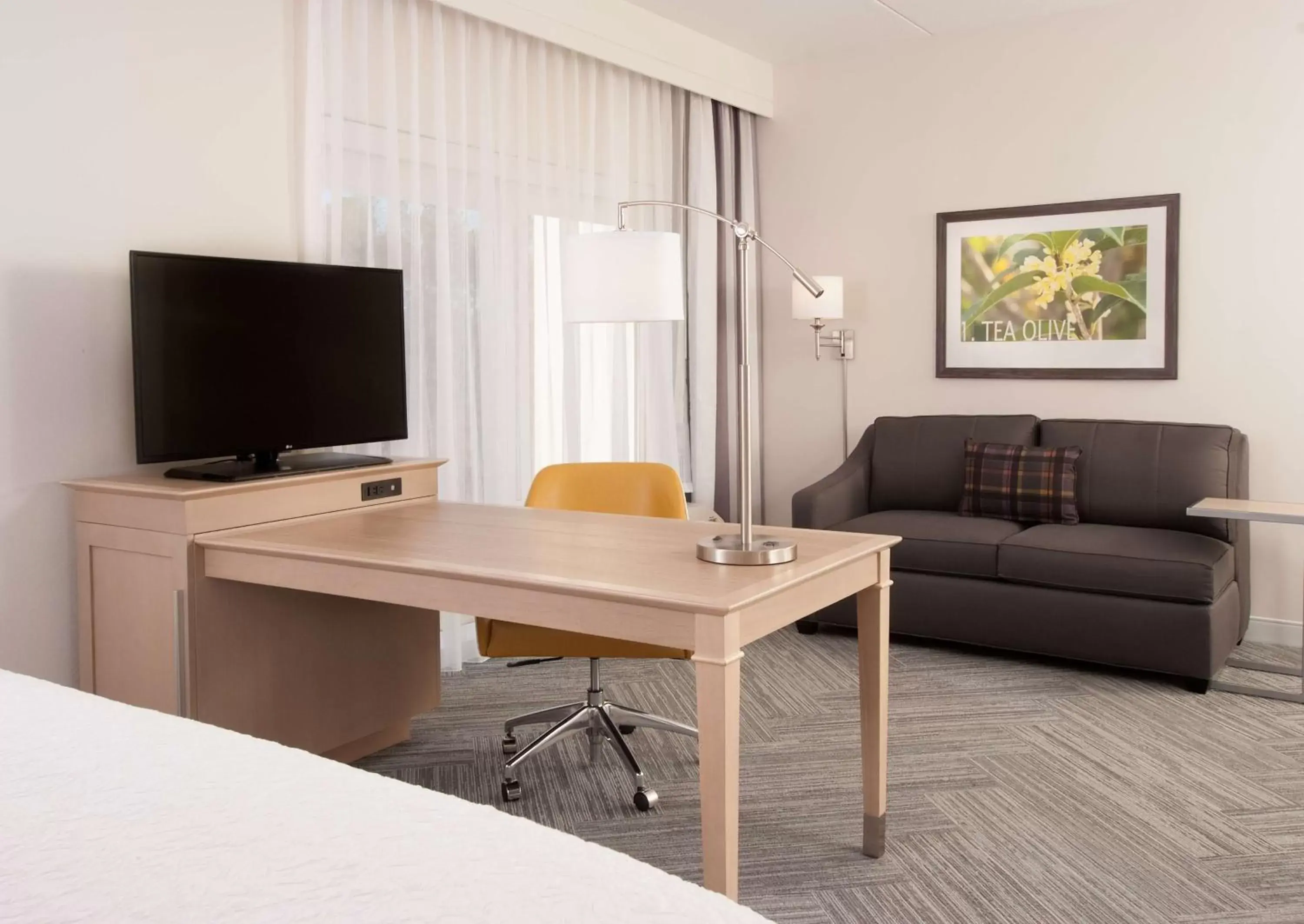 Living room, TV/Entertainment Center in Hampton Inn & Suites by Hilton Augusta-Washington Rd