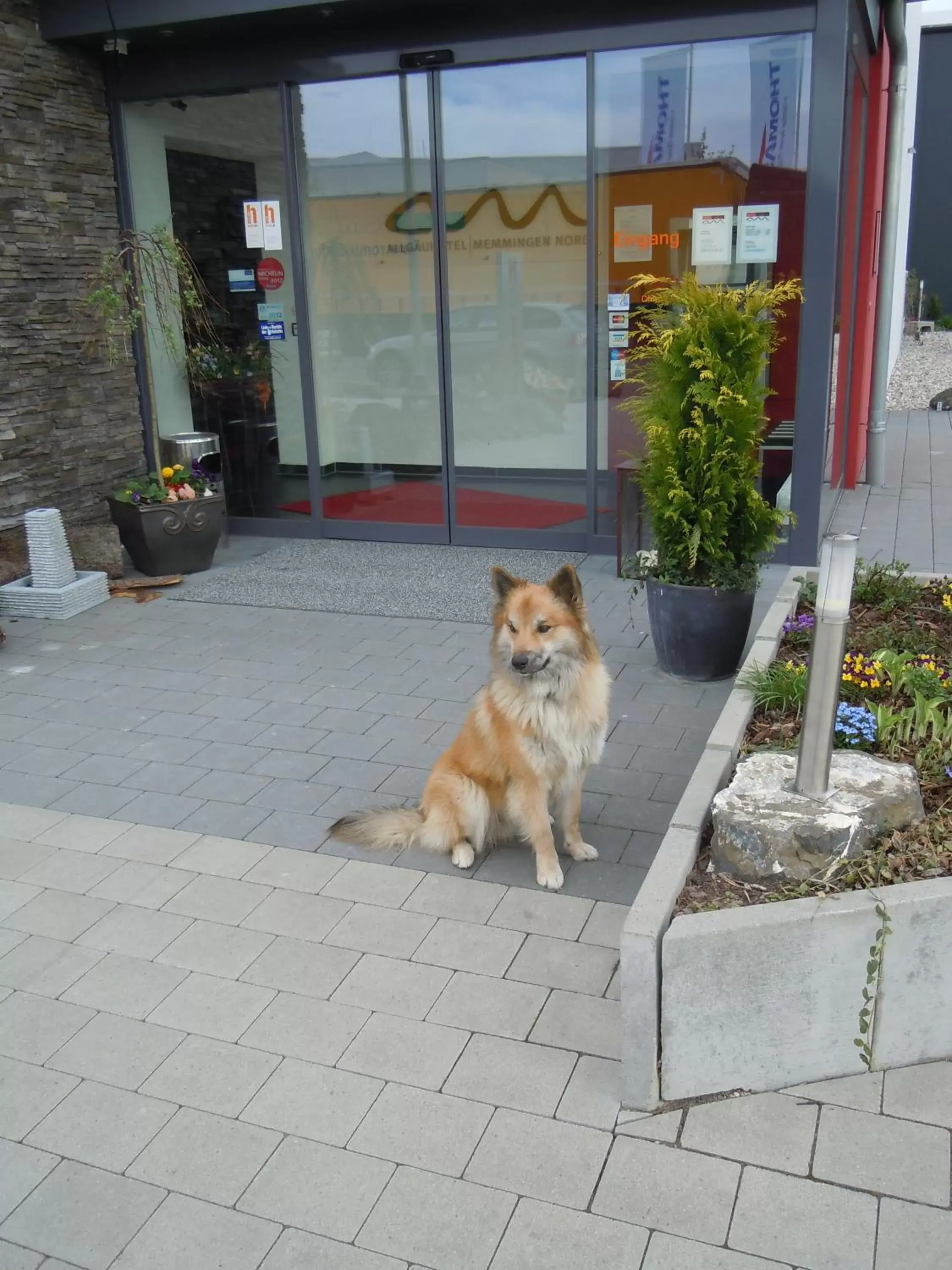 Facade/entrance, Pets in Allgäuhotel Memmingen Nord