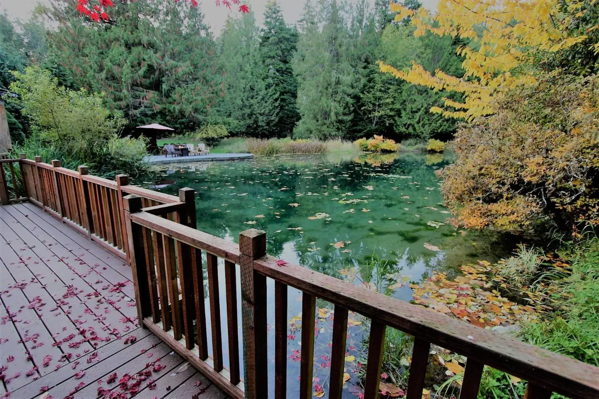 Lake view, Balcony/Terrace in Alexander's Lodge