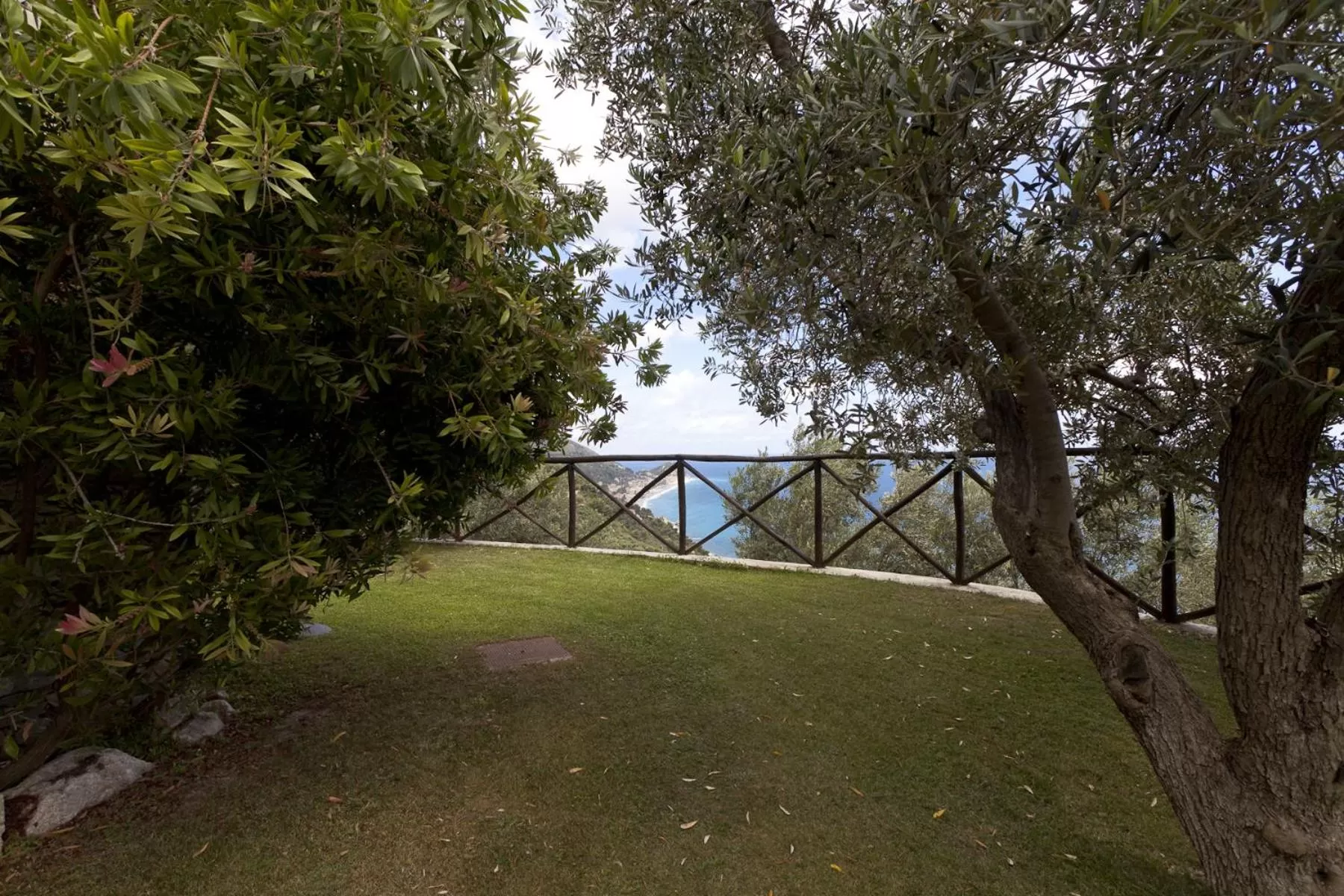 Garden in Villa Degli Ulivi B&B