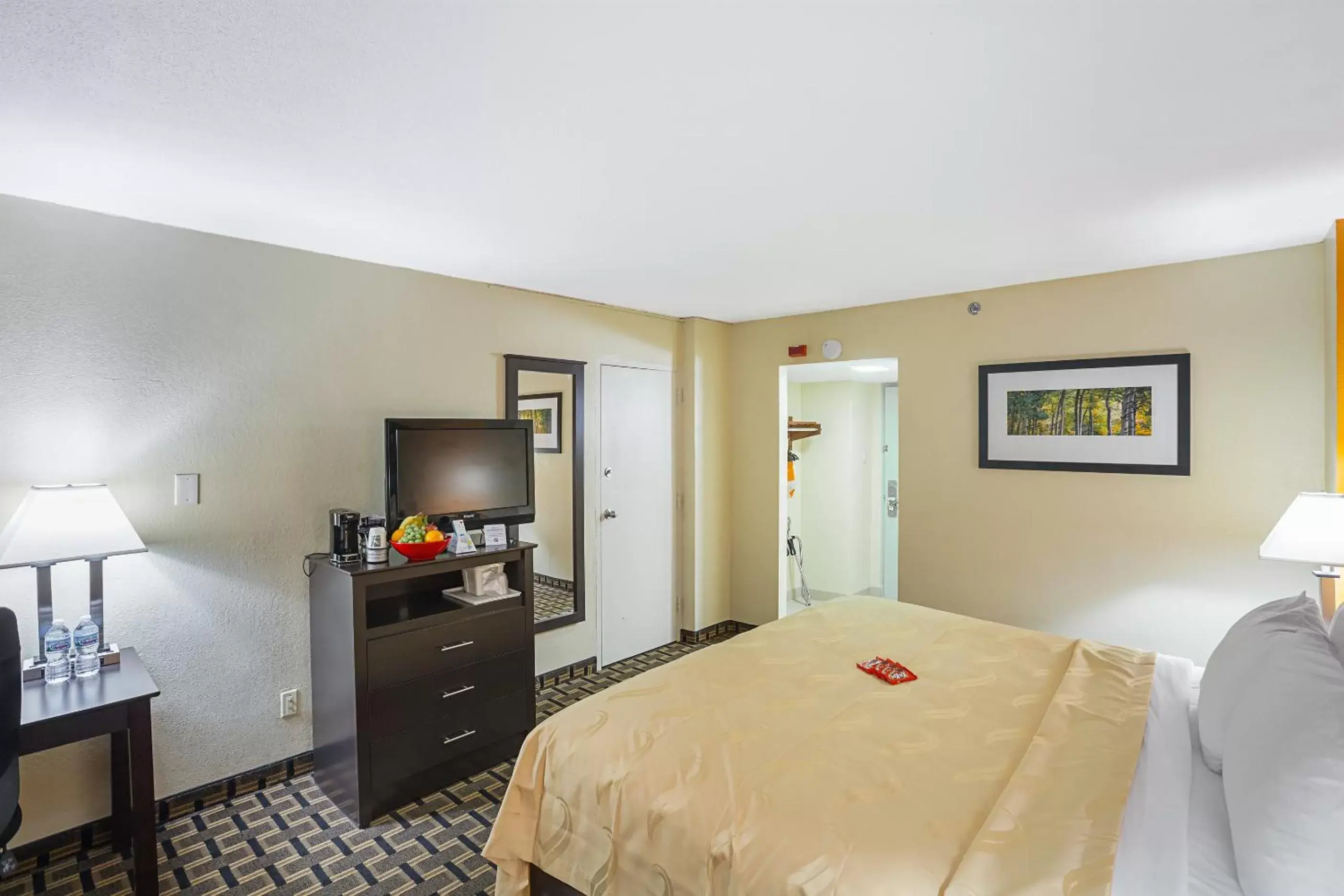 Queen Room - Mobility Accessible/Non-Smoking in Quality Inn & Suites Cincinnati Downtown