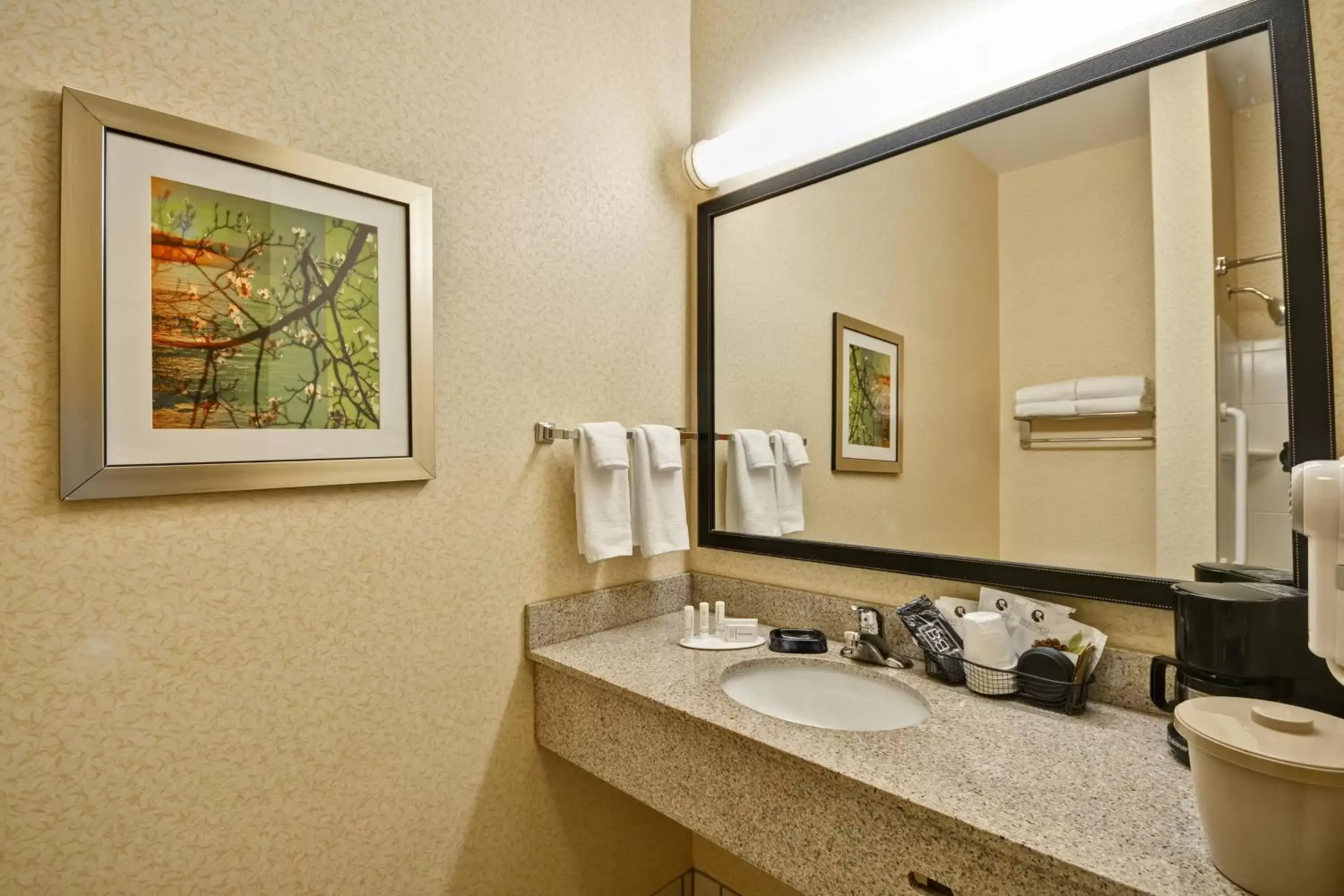 Bathroom in Fairfield Inn and Suites by Marriott Birmingham Fultondale / I-65