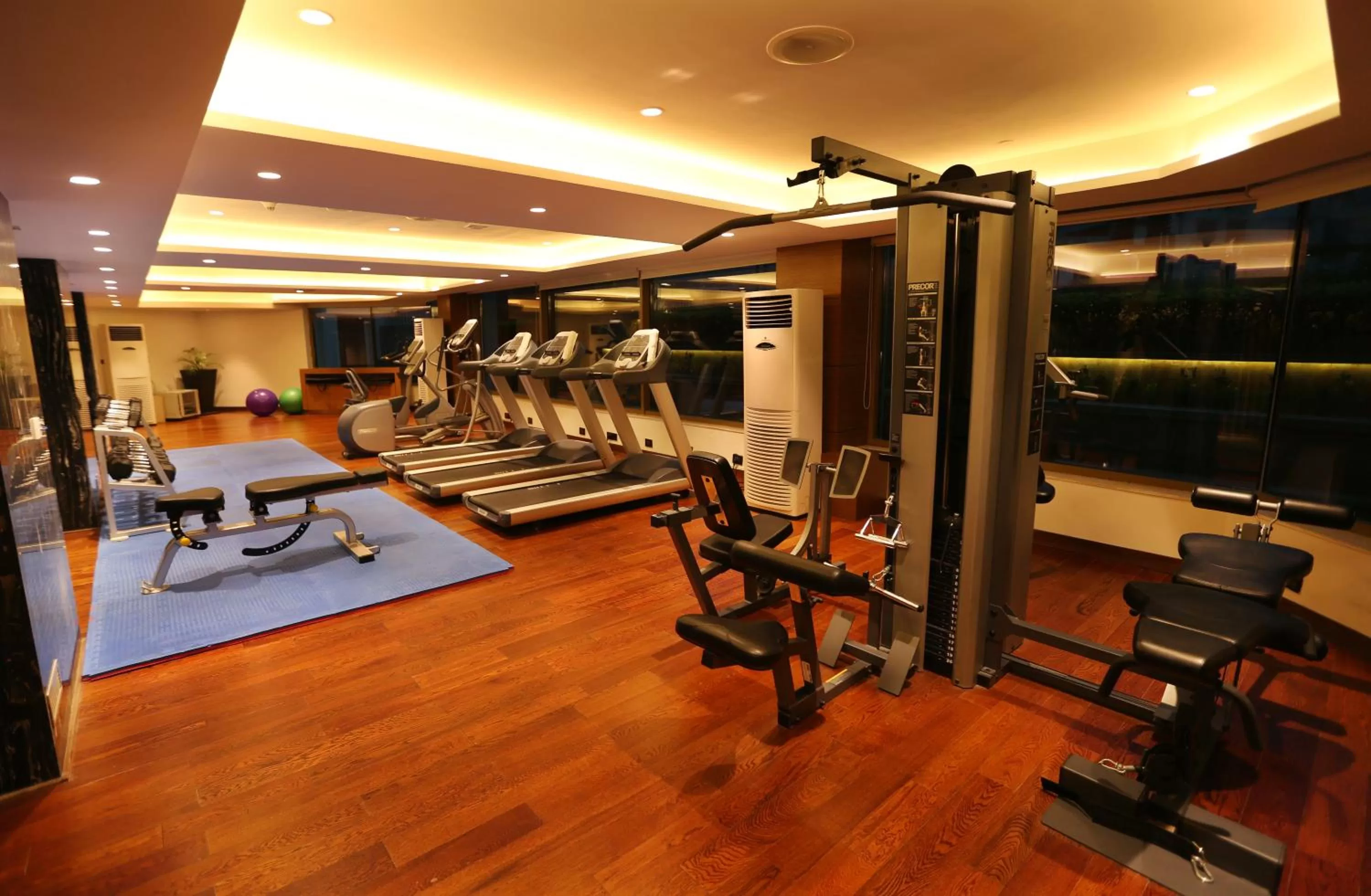 Fitness centre/facilities in Pride Plaza Hotel, Aerocity New Delhi