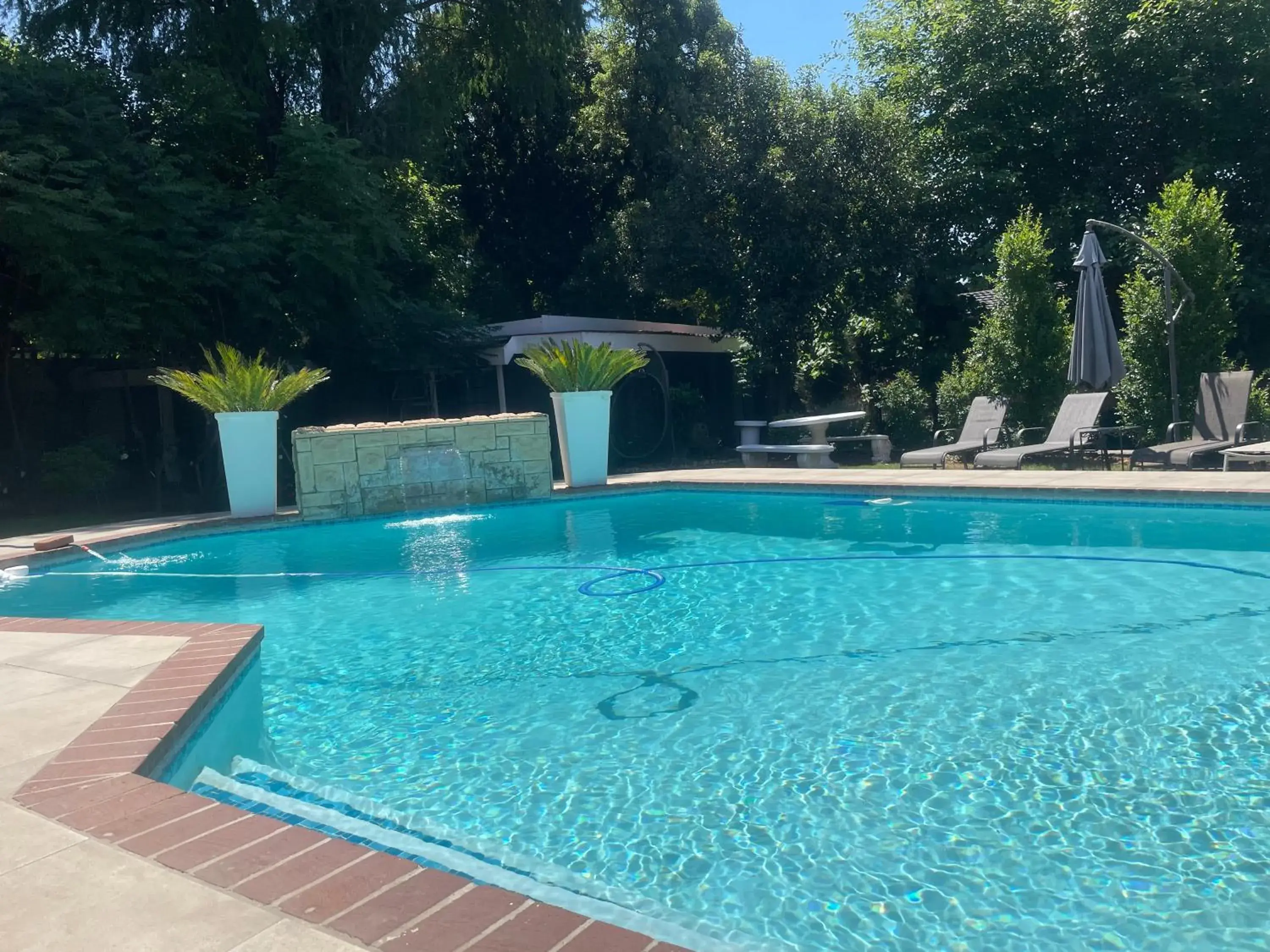 Pool view, Swimming Pool in Marion Lodge