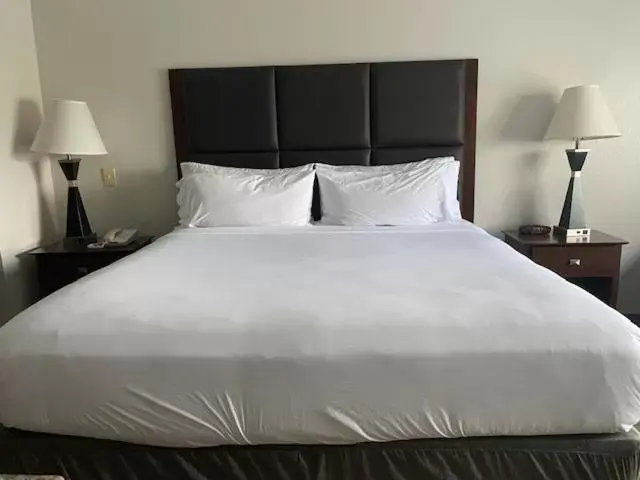 Bed in Holiday Inn Express Hotel & Suites Hinesville, an IHG Hotel