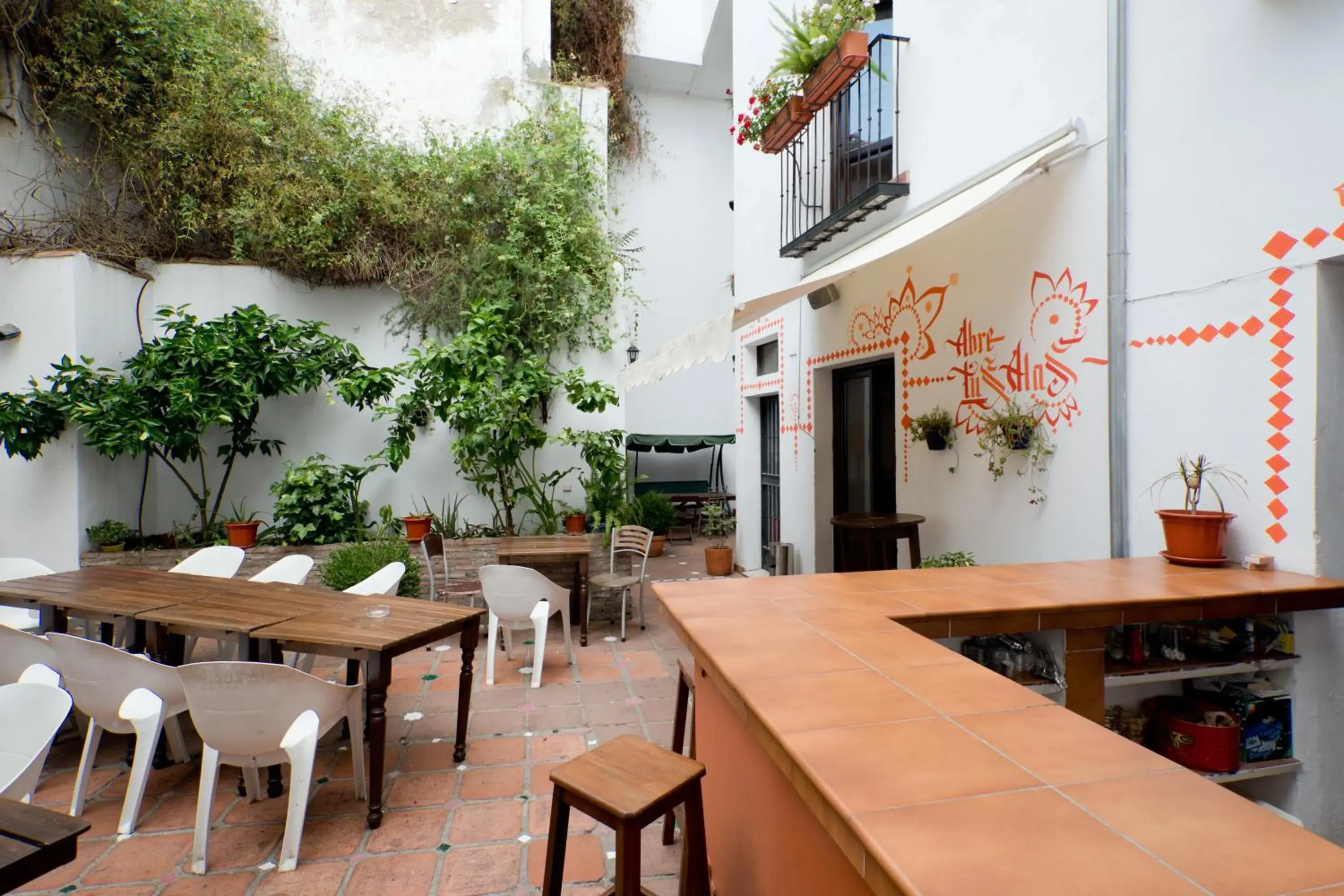 Patio, Restaurant/Places to Eat in Oasis Backpackers' Hostel Granada