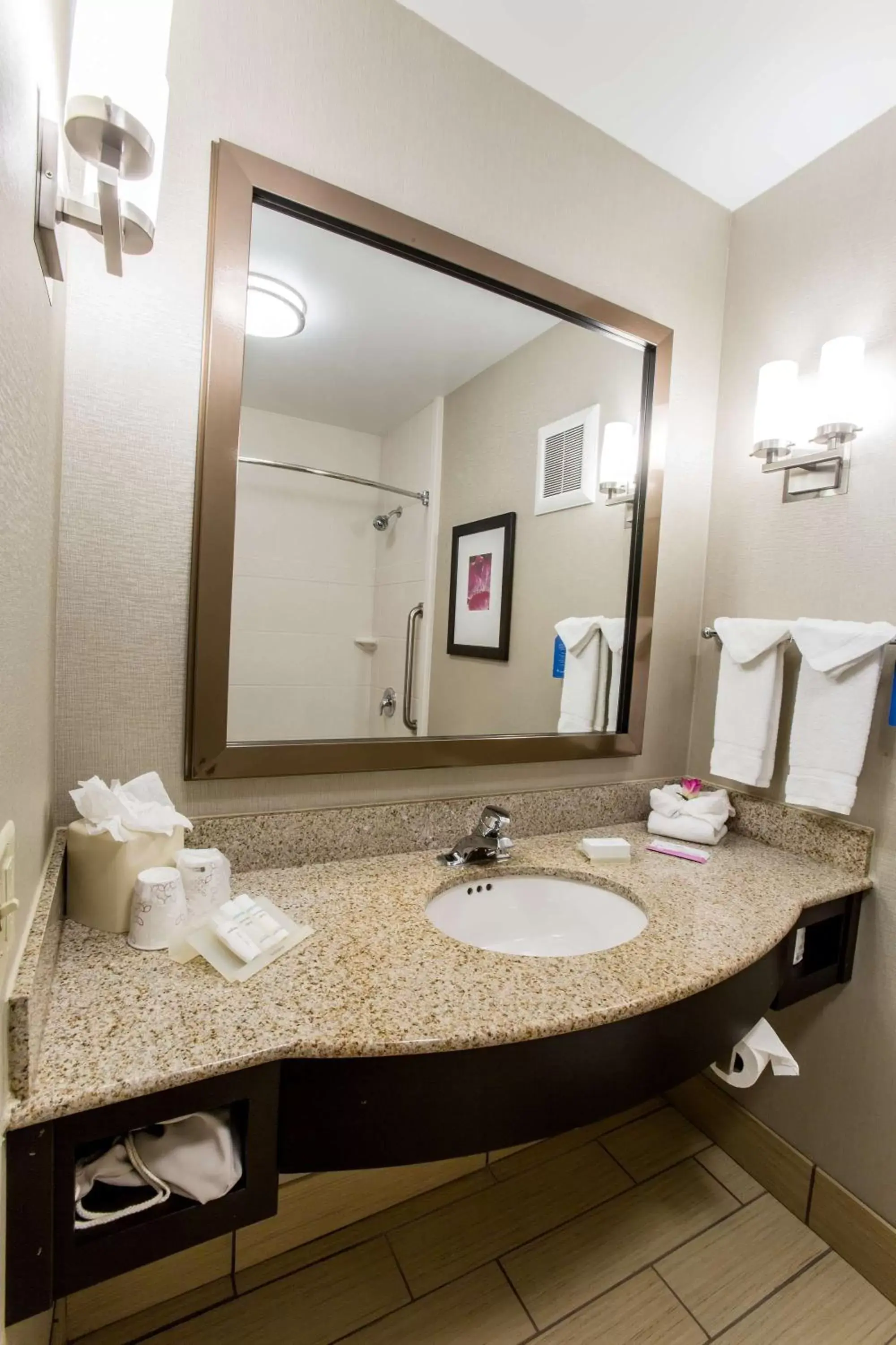 Bathroom in Hilton Garden Inn Columbus/Dublin