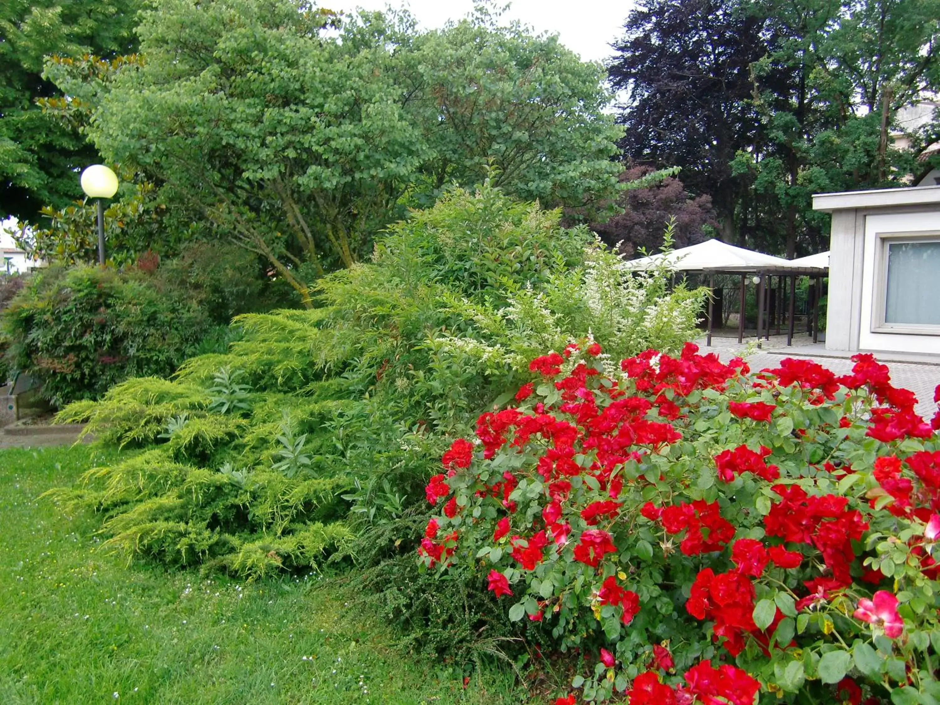 Day, Garden in Best Western Park Hotel Continental