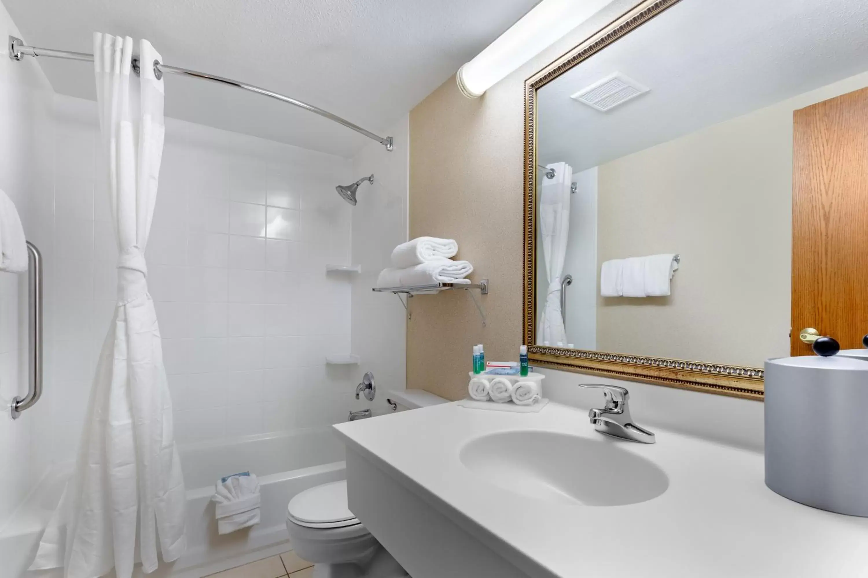 Bathroom in Holiday Inn Express Chicago-Downers Grove, an IHG Hotel