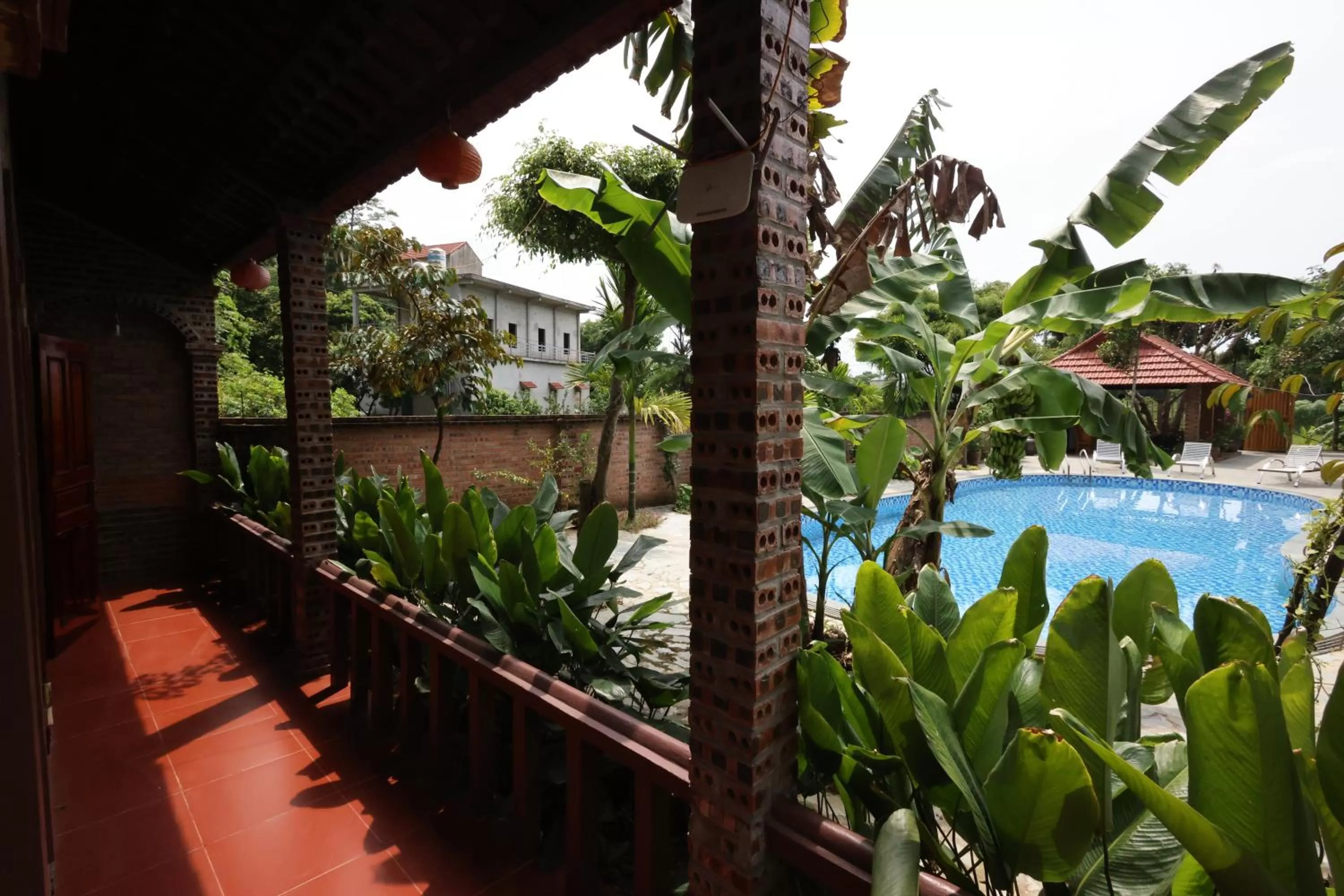 Pool view in Phạm Gia Homestay Ecogarden