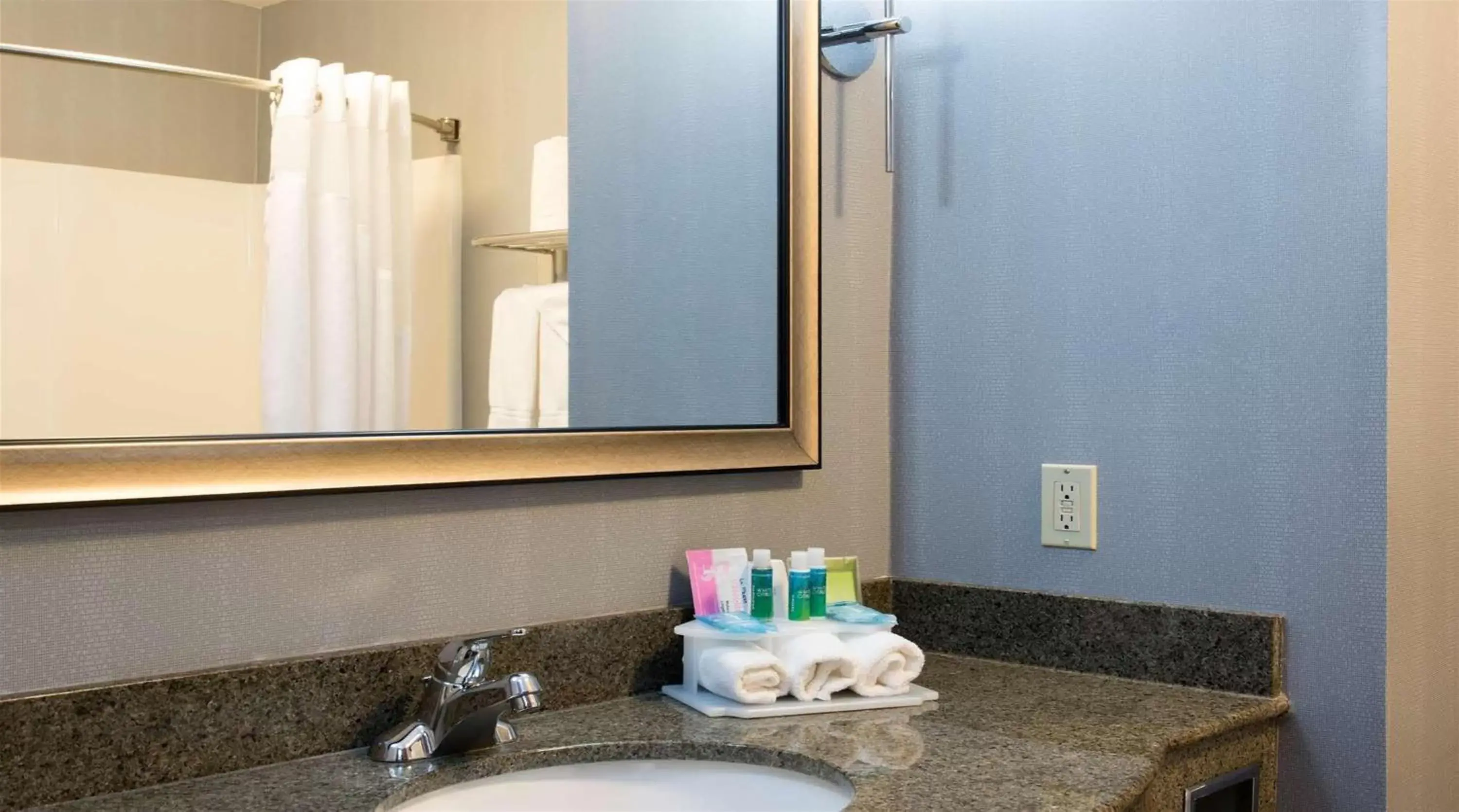 Bathroom in Holiday Inn Express & Suites Danville, an IHG Hotel