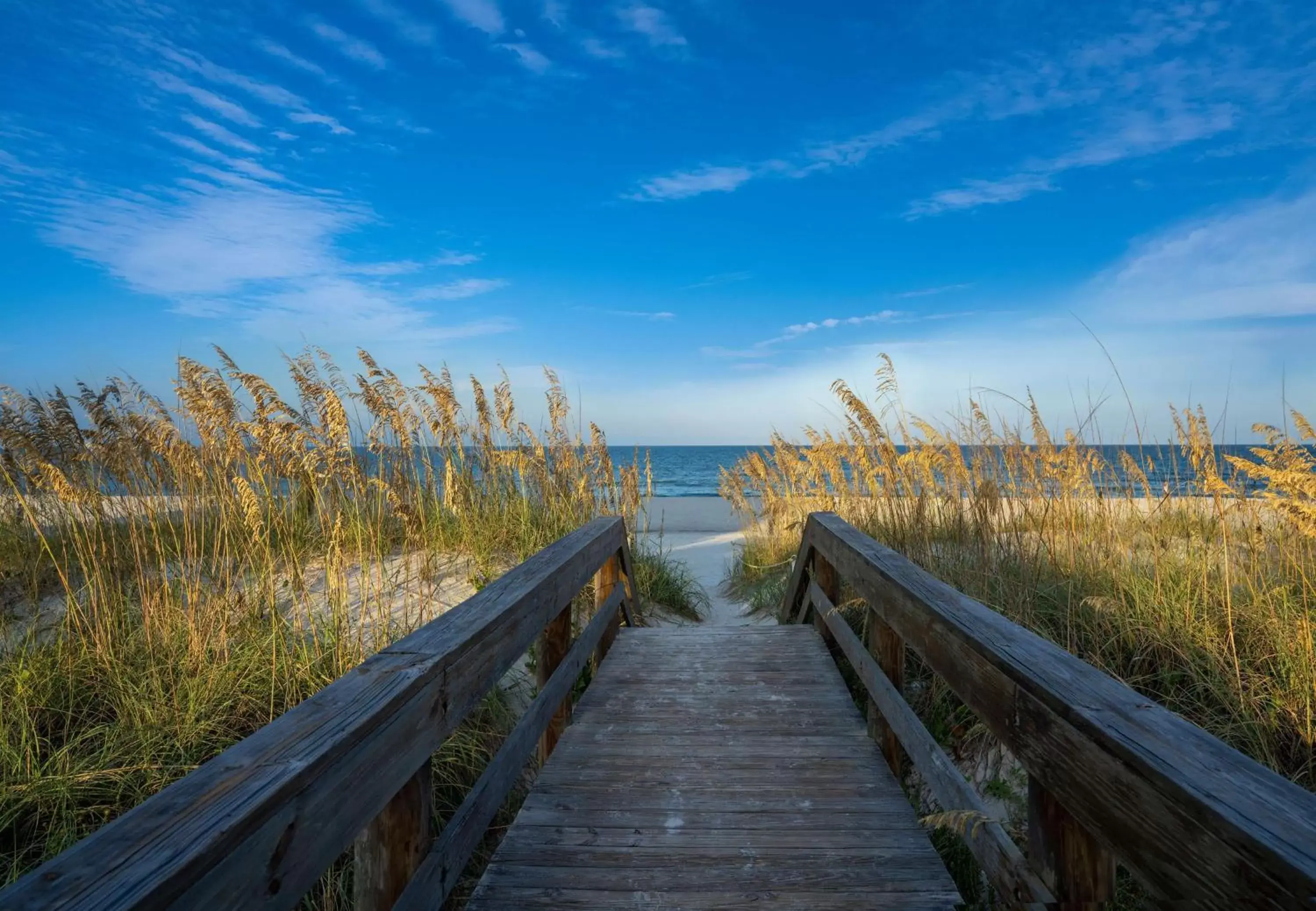 Property building in Hampton Inn Oceanfront Jacksonville Beach