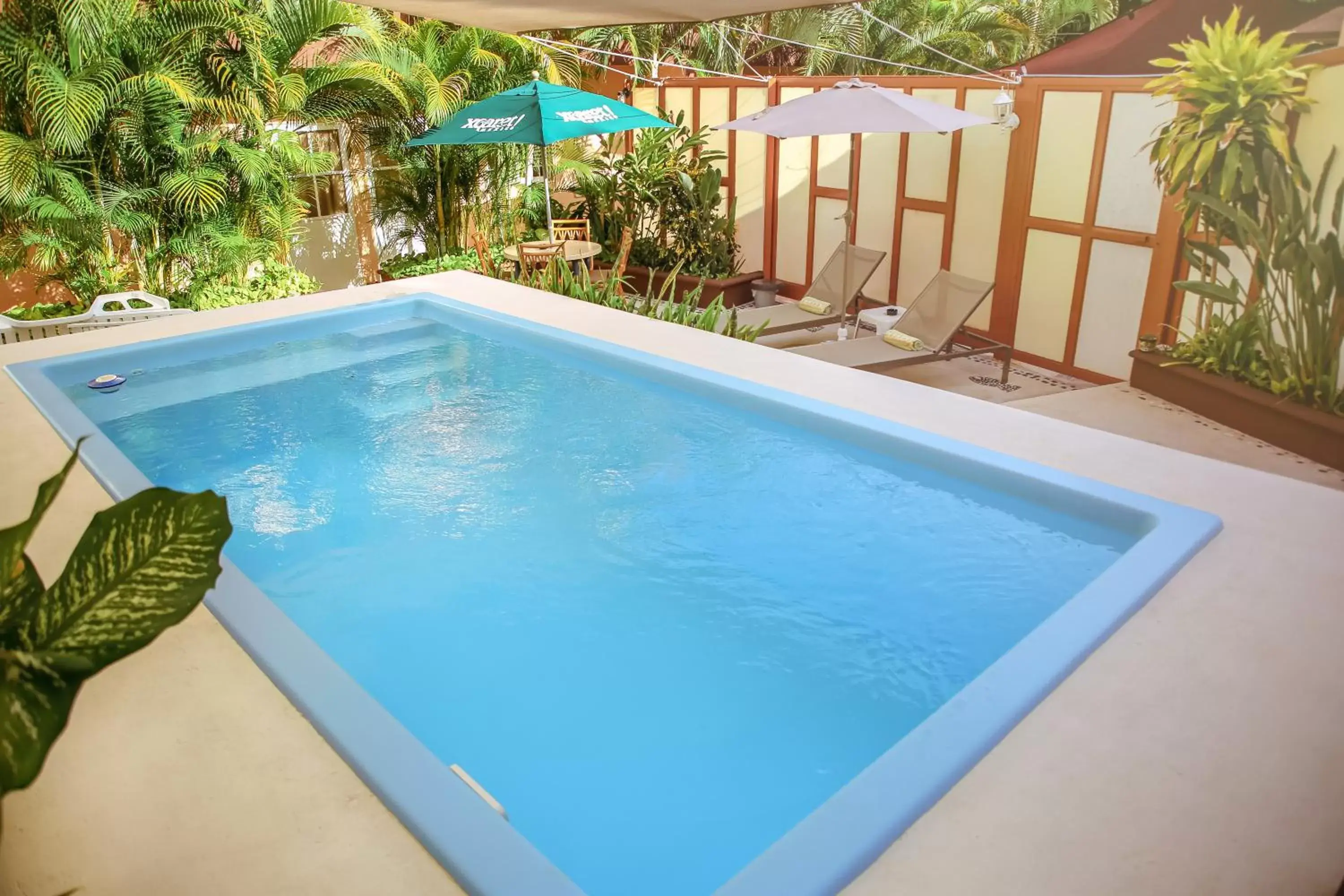 Pool view, Swimming Pool in Casa Saab