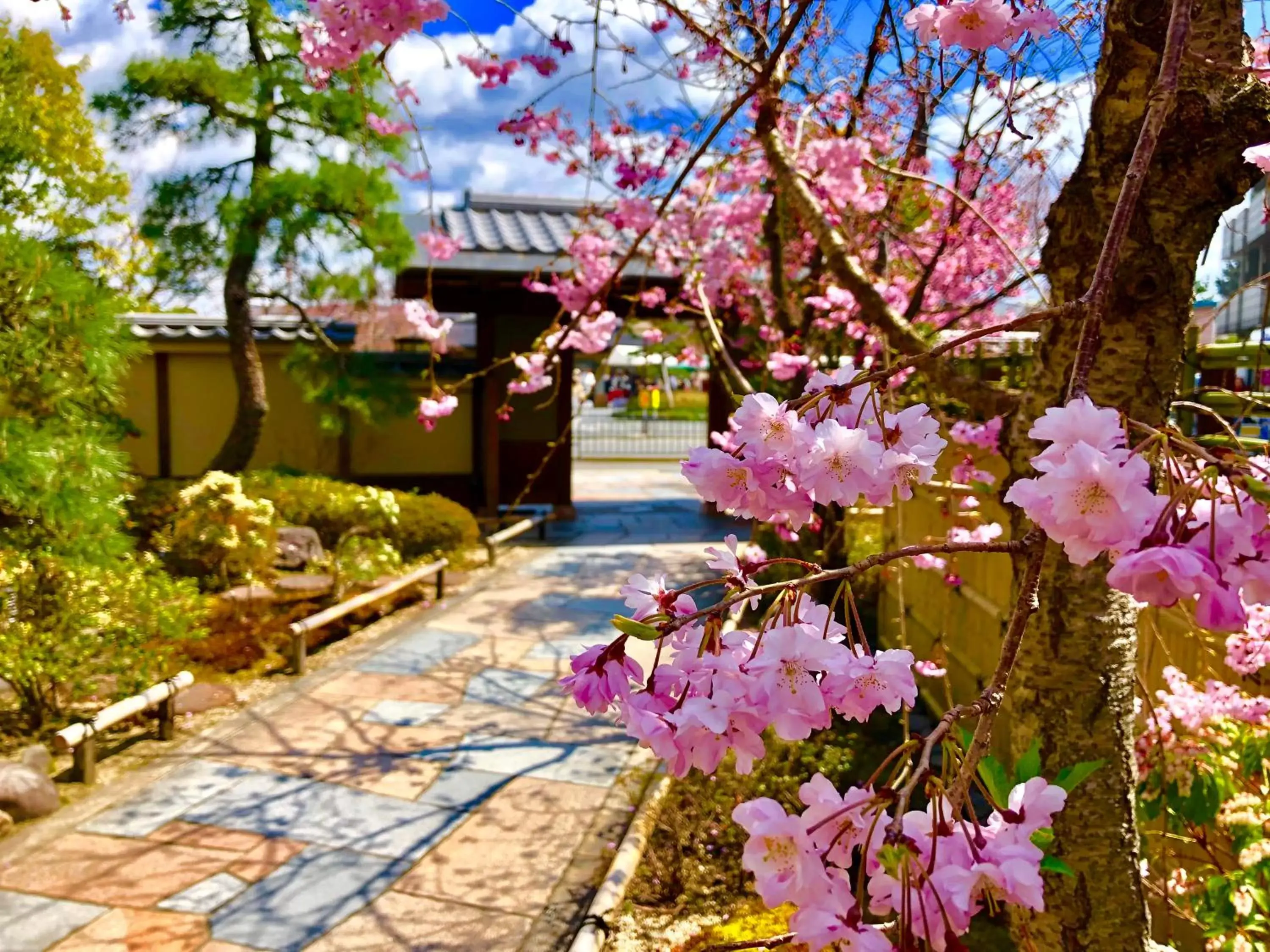 Property building in Kadensho, Arashiyama Onsen, Kyoto - Kyoritsu Resort