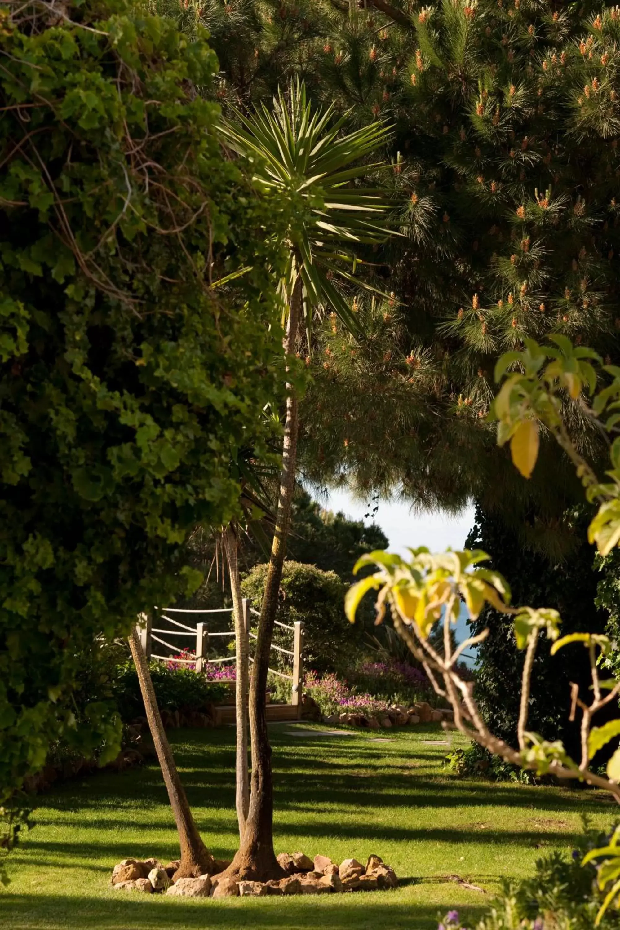 Garden in PortoBay Falesia