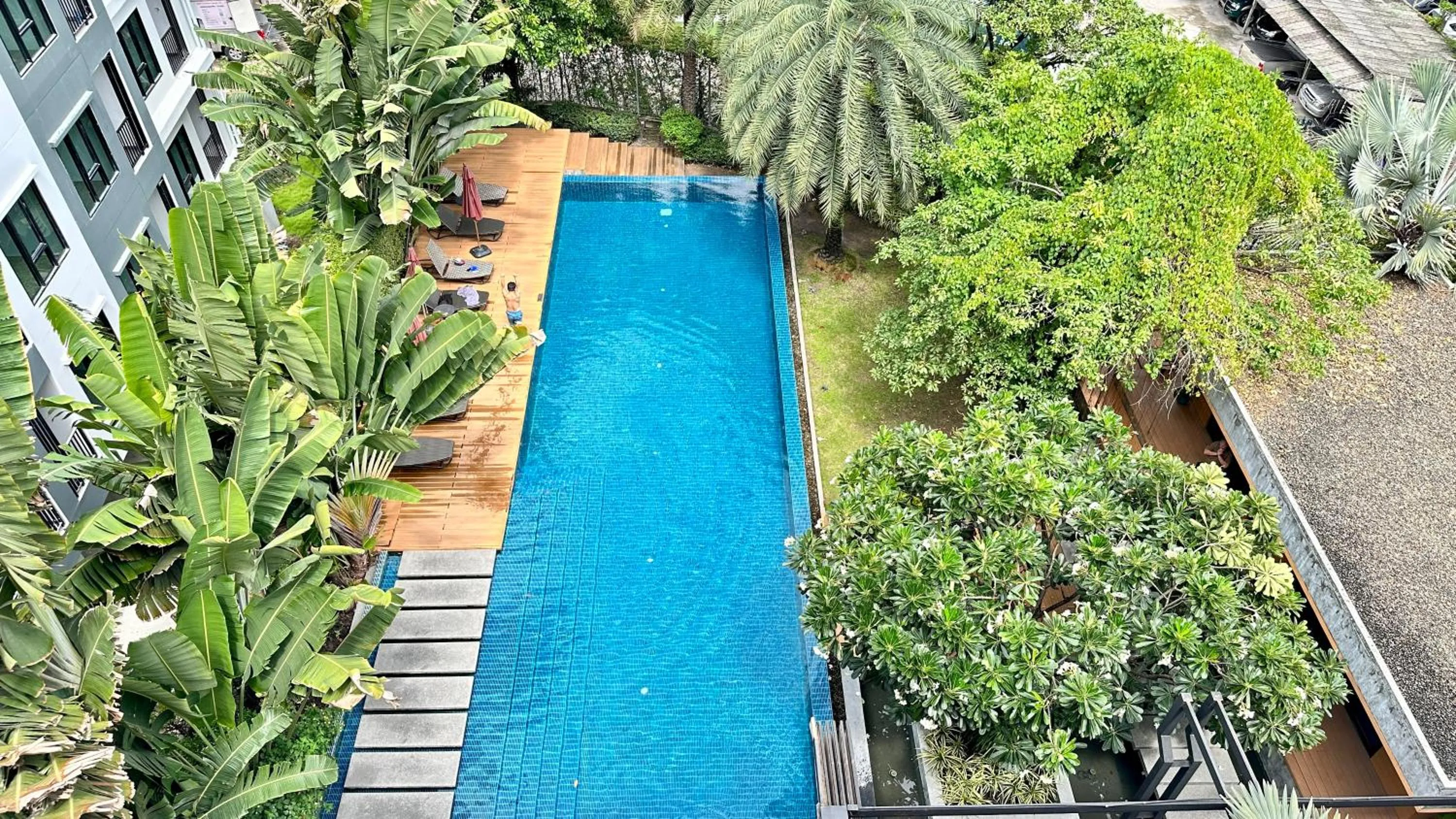 Swimming pool in The Silver Palm Wellness Resort
