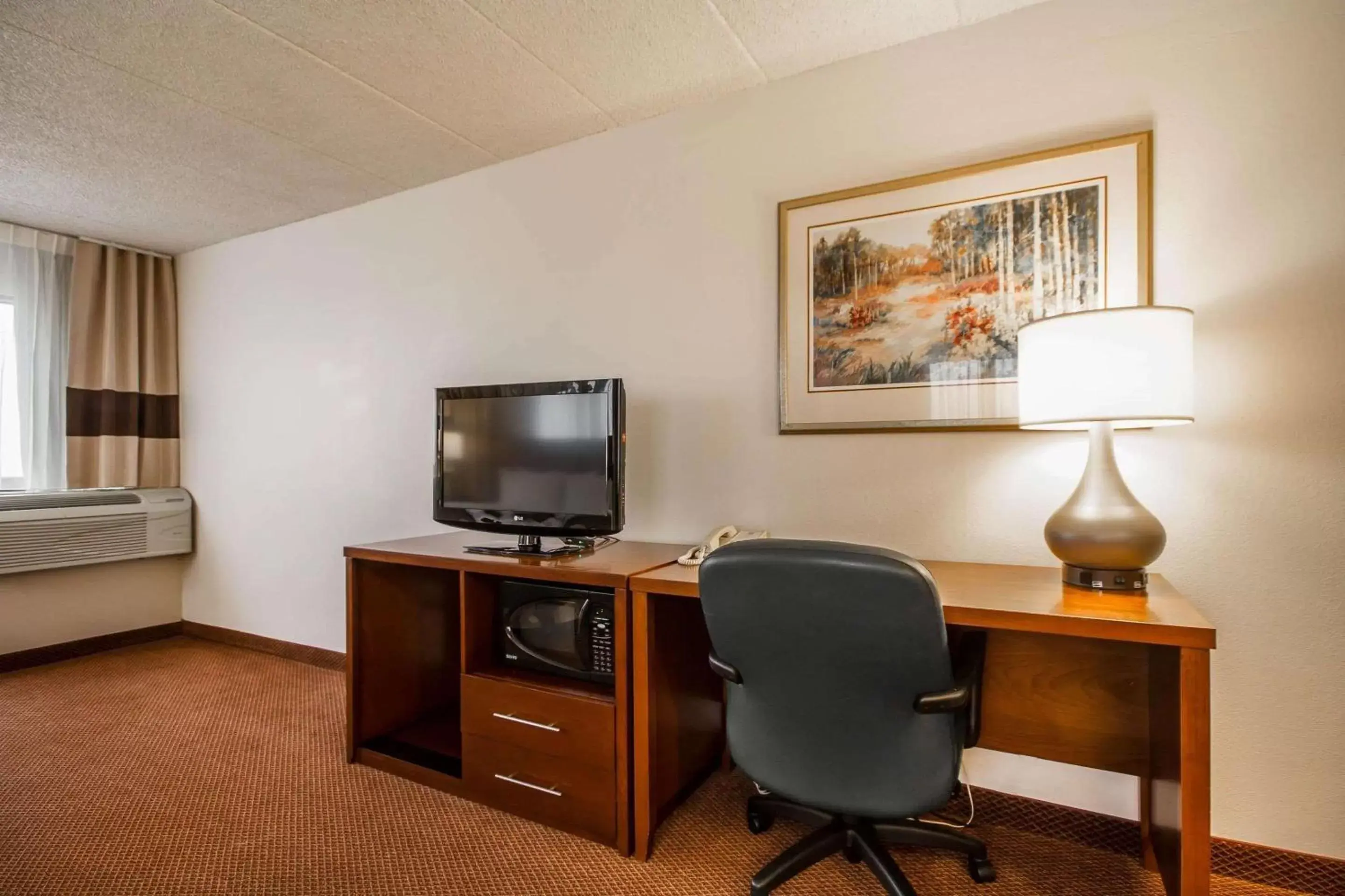 Photo of the whole room, TV/Entertainment Center in Comfort Inn & Suites Madison - Airport