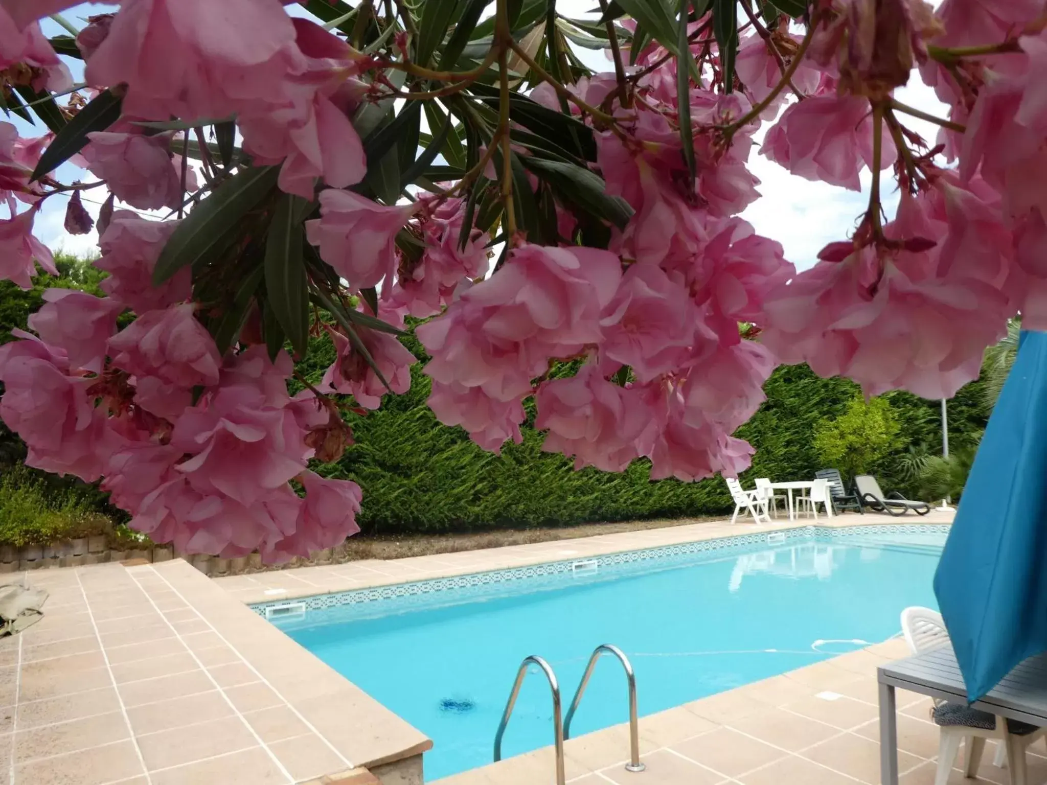 Pool view, Swimming Pool in Villa Alessia