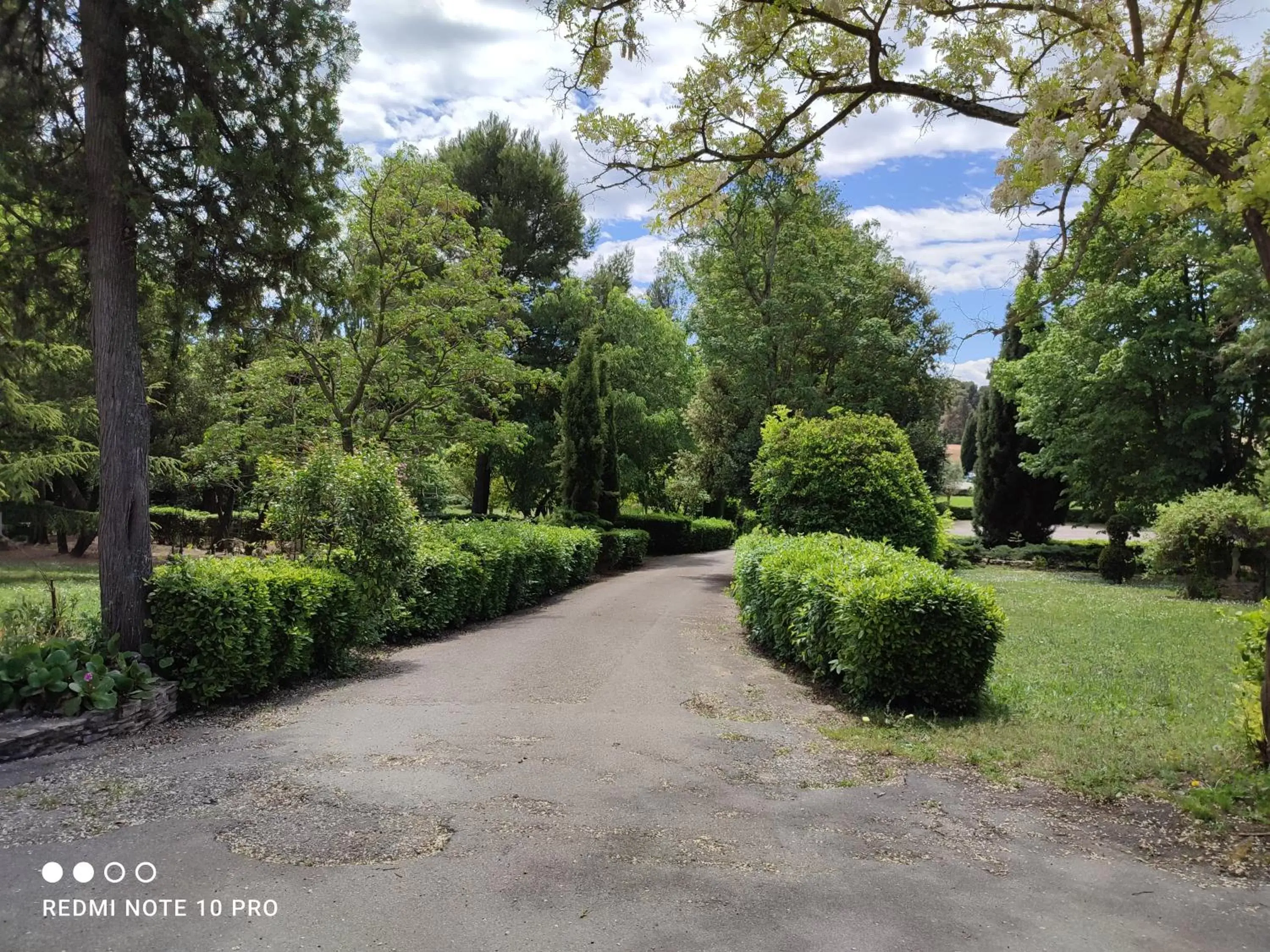 Garden in Château Saint-Martin