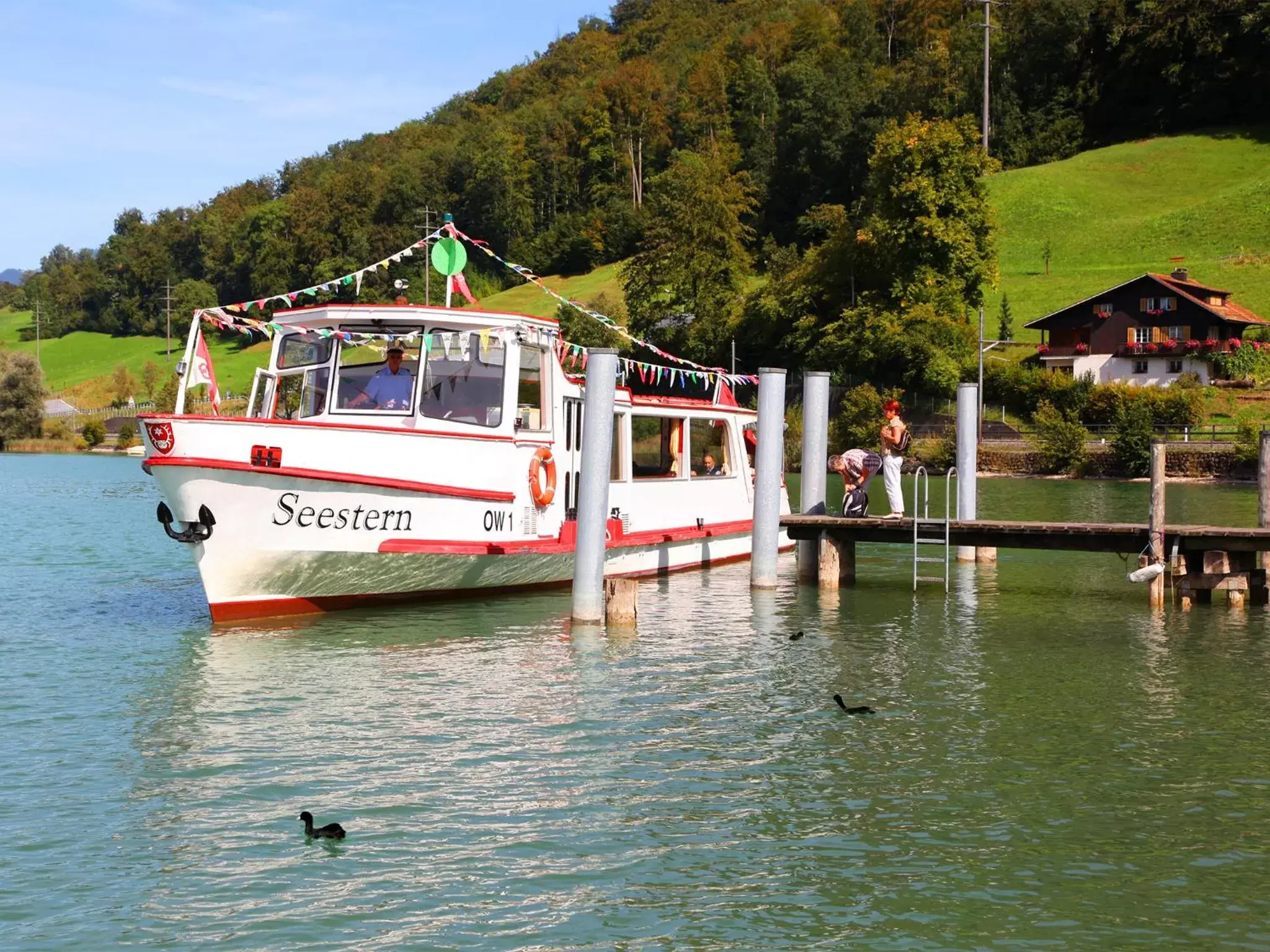 Natural landscape in Landgasthof Zollhaus