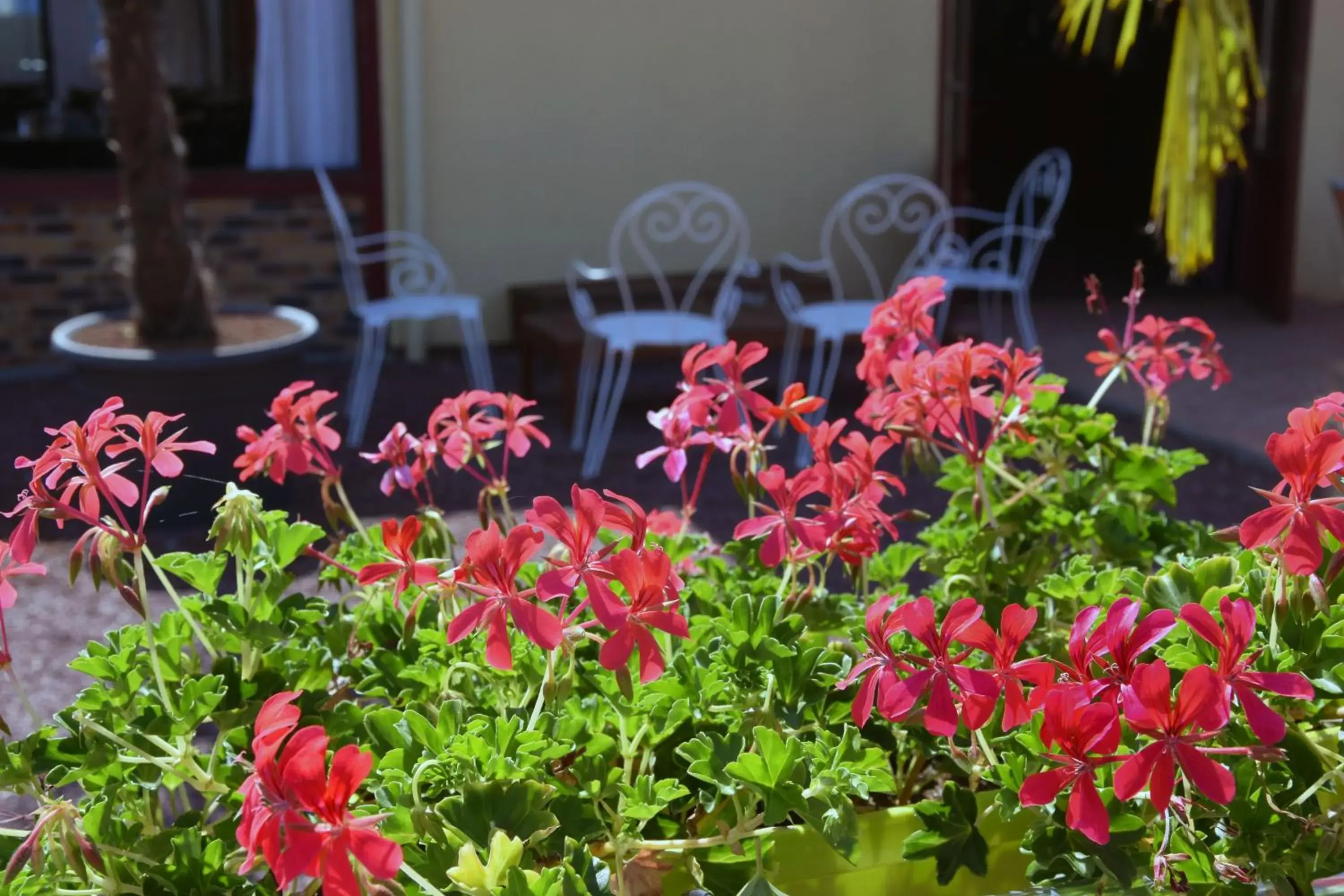 Garden in Contact Hotel Le Seino Marin - Cléon Elbeuf